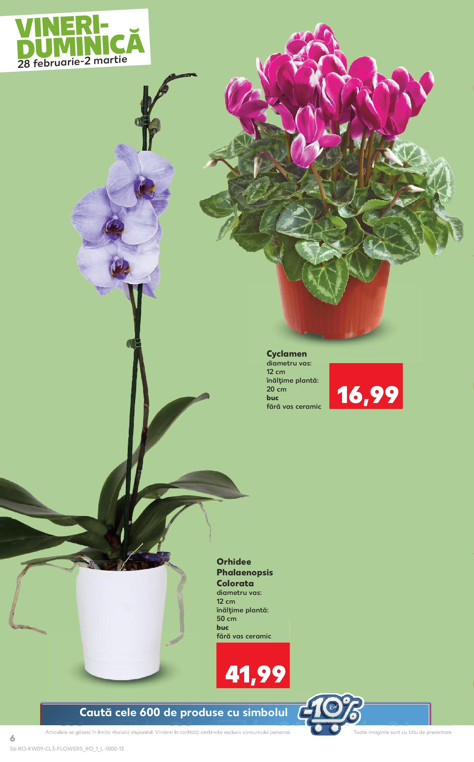 Catalog Kaufland 28 Februarie - 2 Martie 2025 | Pagina 6 | Produse: Orhidee
