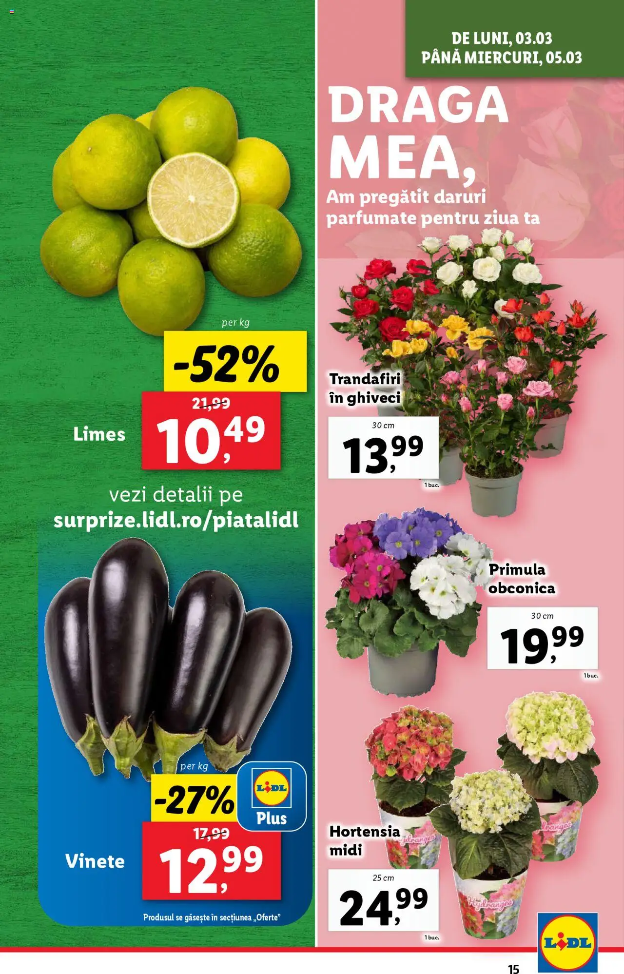 Catalog LIDL 3 - 9 Martie 2025 | Pagina 15 | Produse: Ghiveci