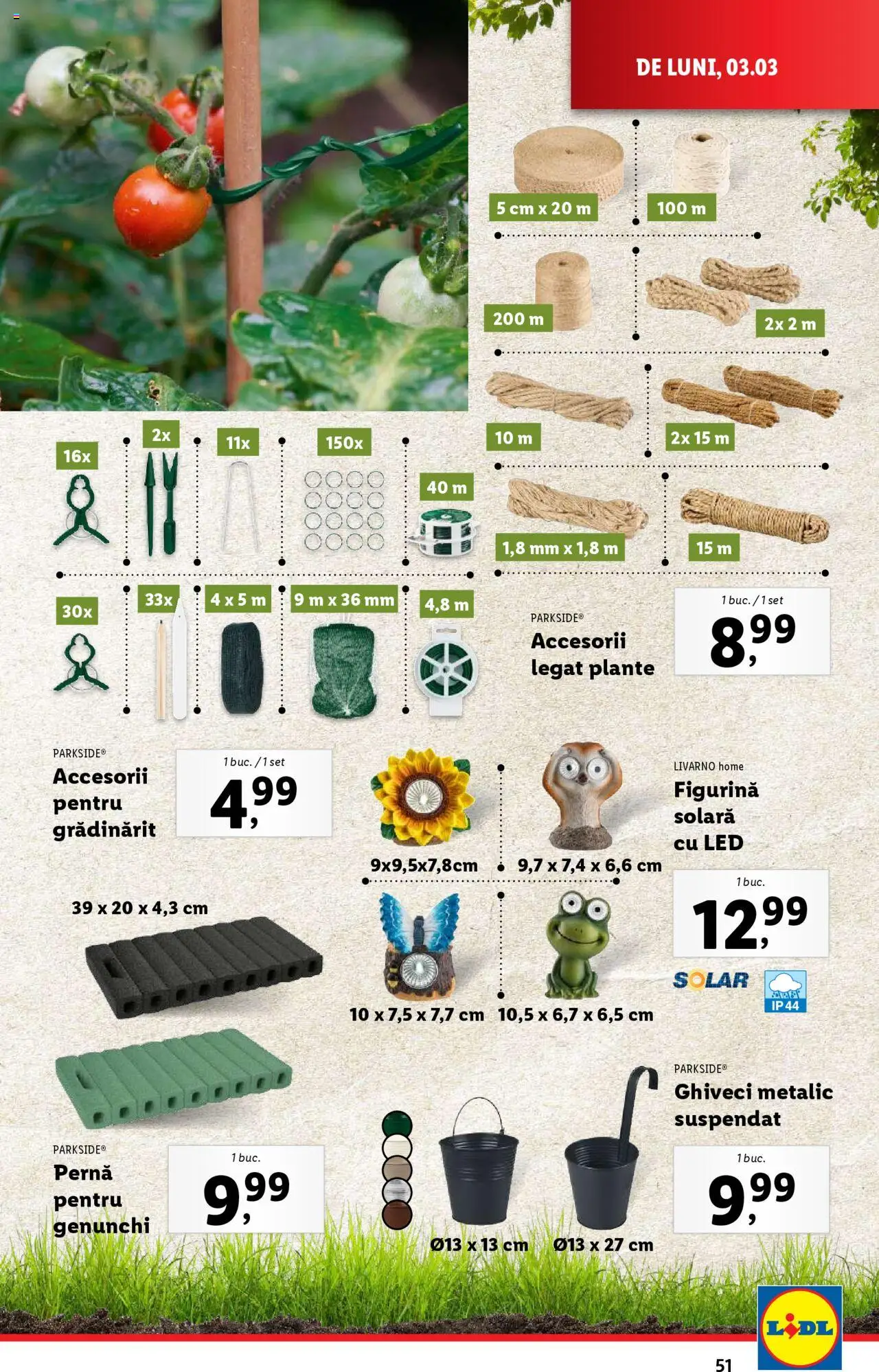 Catalog LIDL 3 - 9 Martie 2025 | Pagina 51 | Produse: Pernă, Babak, Ghiveci