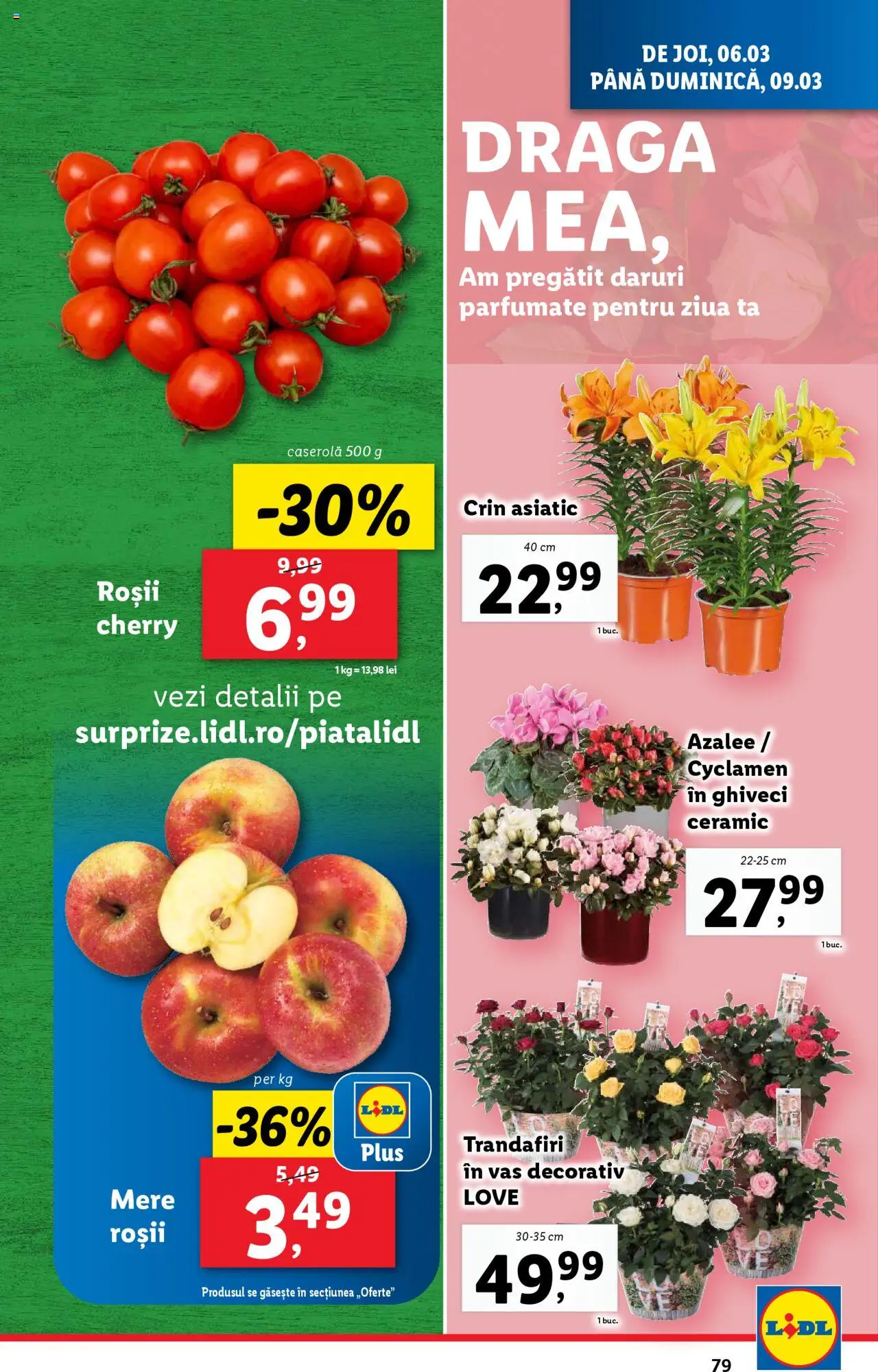 Catalog LIDL 3 - 9 Martie 2025 | Pagina 79 | Produse: Ghiveci, Mere, Roșii