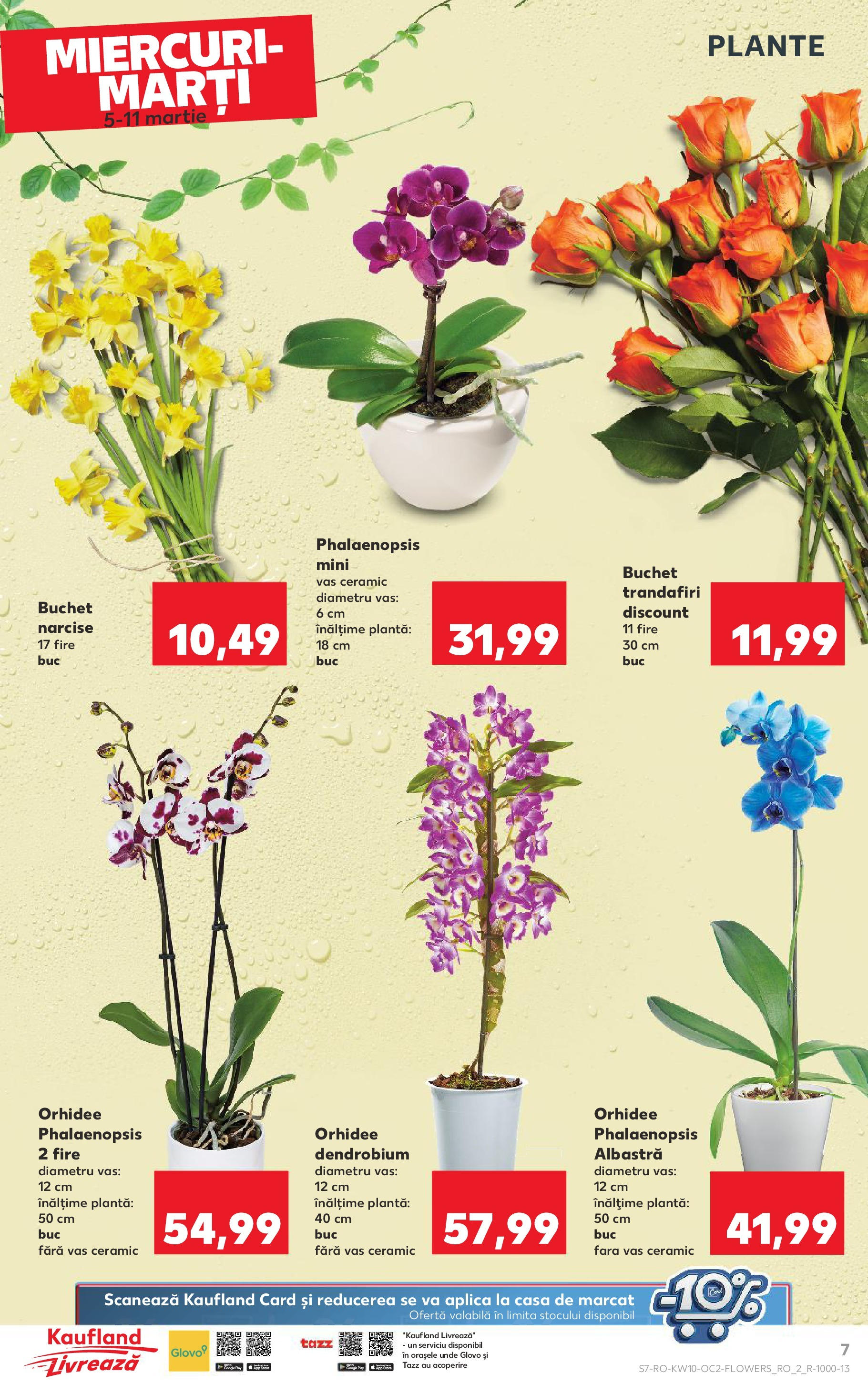 Catalog Kaufland 5 - 11 Martie 2025 | Pagina 7 | Produse: Orhidee