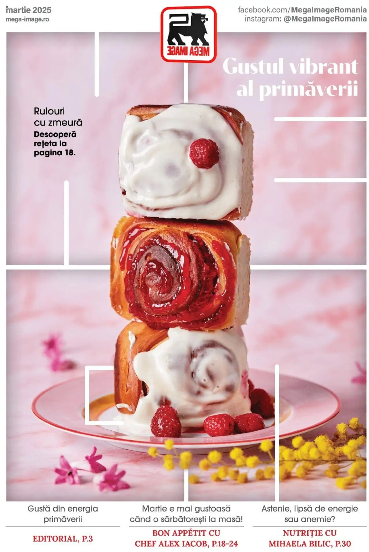 Catalog Mega Image 27 Februarie - 25 Martie 2025 | Pagina 1 | Produse: Zmeură, Masă