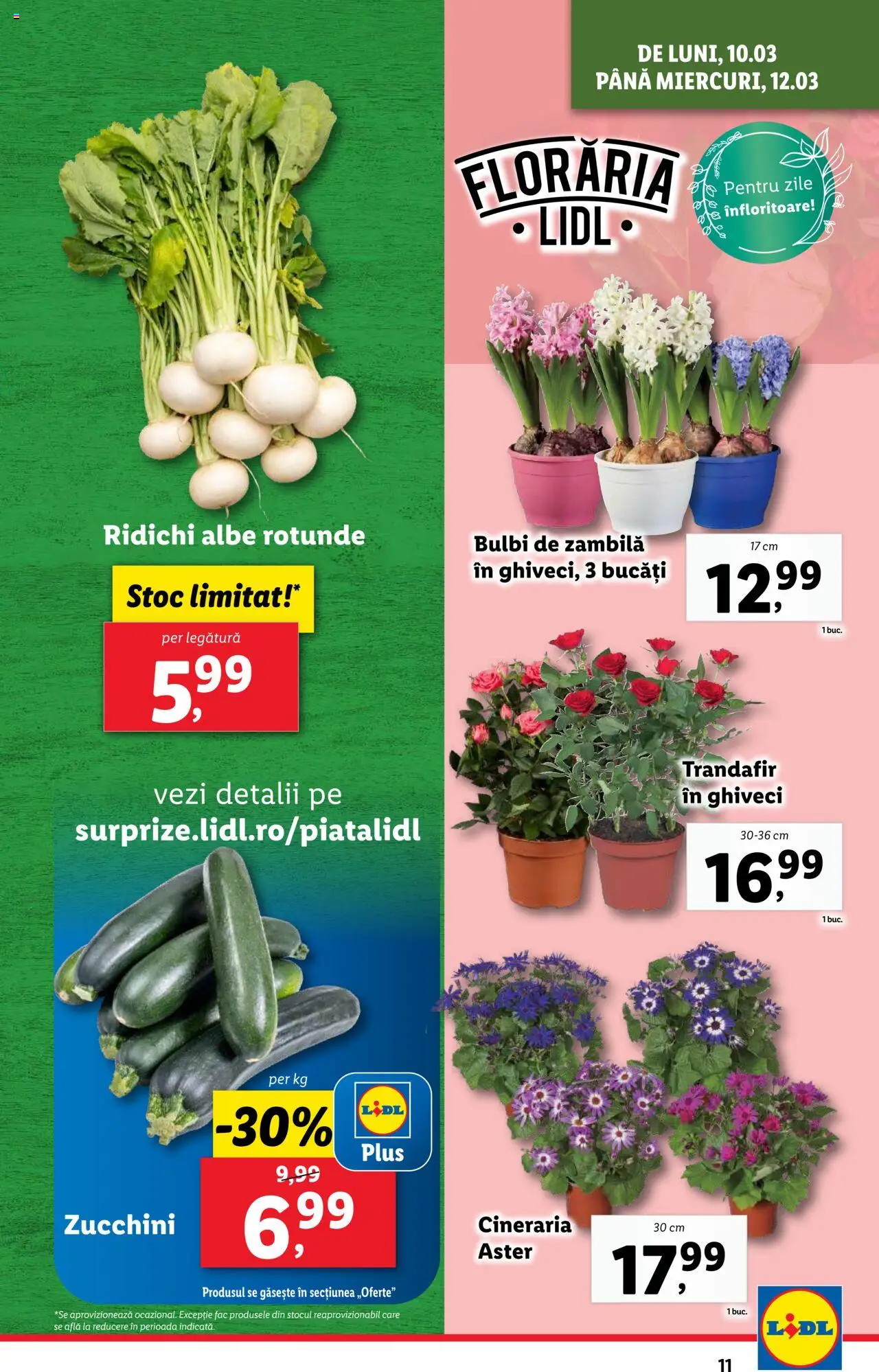 Catalog LIDL 10 - 16 Martie 2025 | Pagina 11 | Produse: Trandafir, Ghiveci, Sıcak çikolata