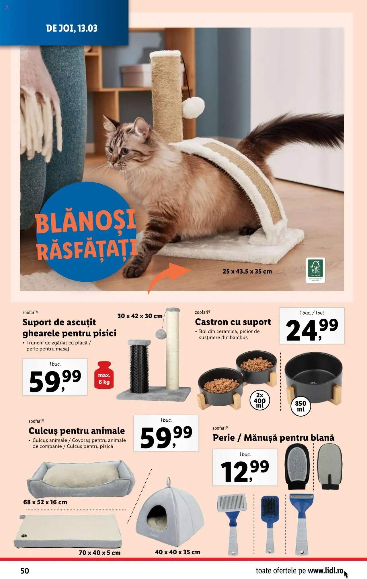 Catalog LIDL 10 - 16 Martie 2025 | Pagina 50 | Produse: Bol, Perie
