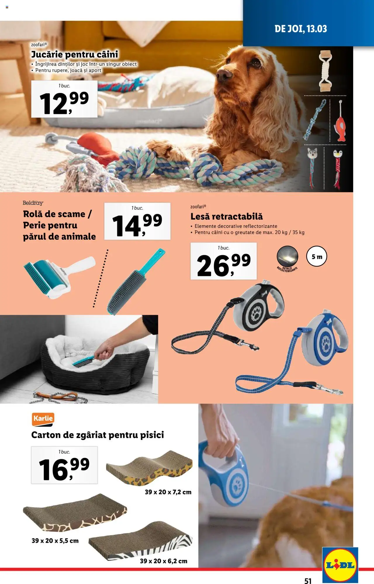 Catalog LIDL 10 - 16 Martie 2025 | Pagina 51 | Produse: Joc, Perie