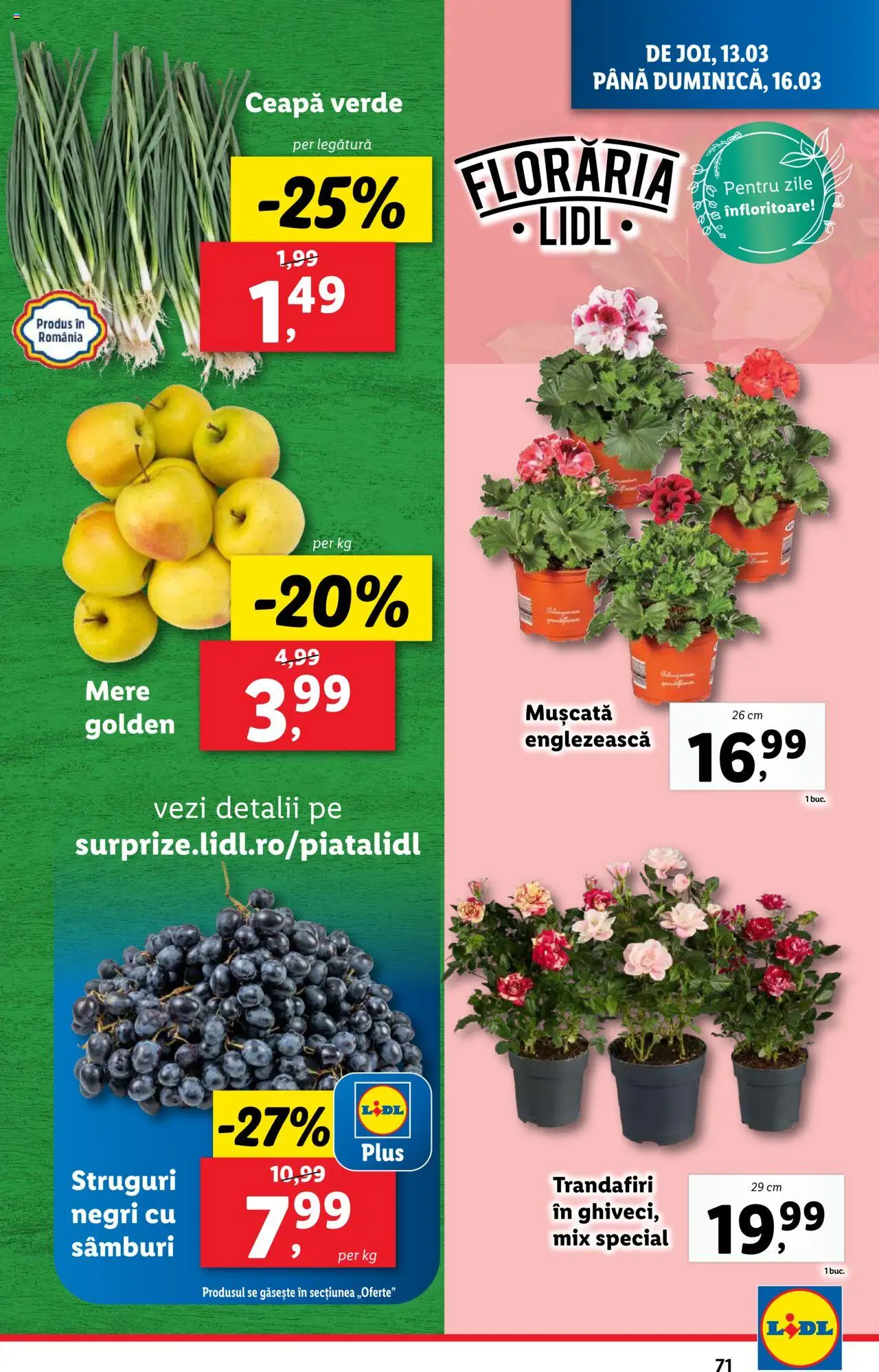 Catalog LIDL 10 - 16 Martie 2025 | Pagina 71 | Produse: Struguri, Mere, Ceapă