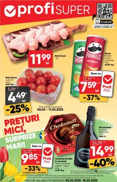 Catalog Profi