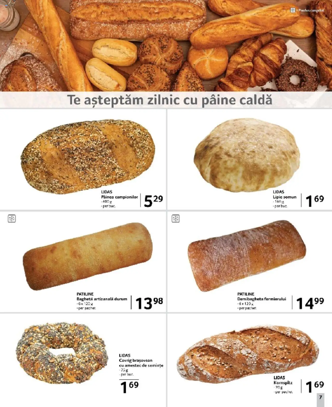 Catalog Selgros 7 - 20 Martie 2025 | Pagina 7 | Produse: Semințe, Pâine