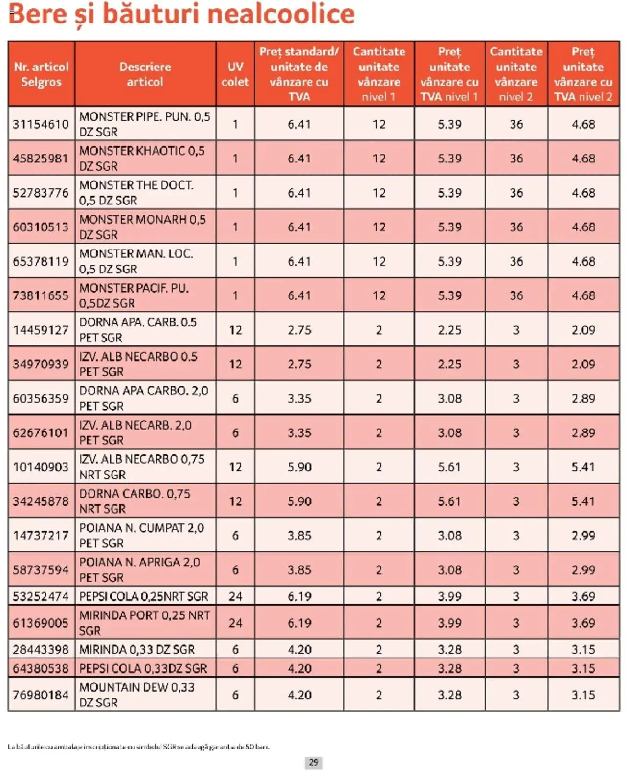 Catalog Selgros 1 - 31 Martie 2025 | Pagina 29 | Produse: Amerikan servis, Bere, Apă