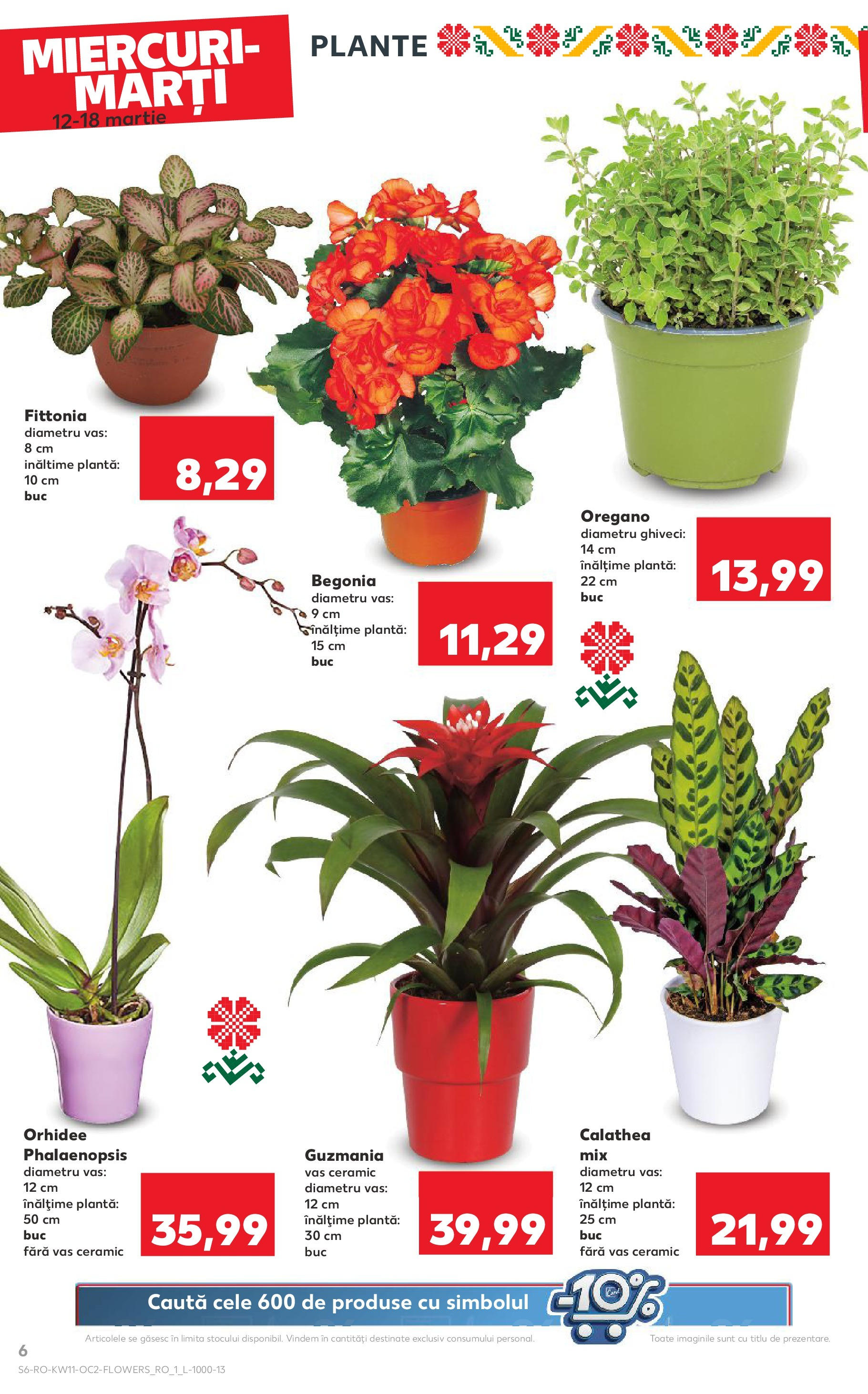 Catalog Kaufland 11 - 16 Martie 2025 | Pagina 6 | Produse: Orhidee, Ghiveci