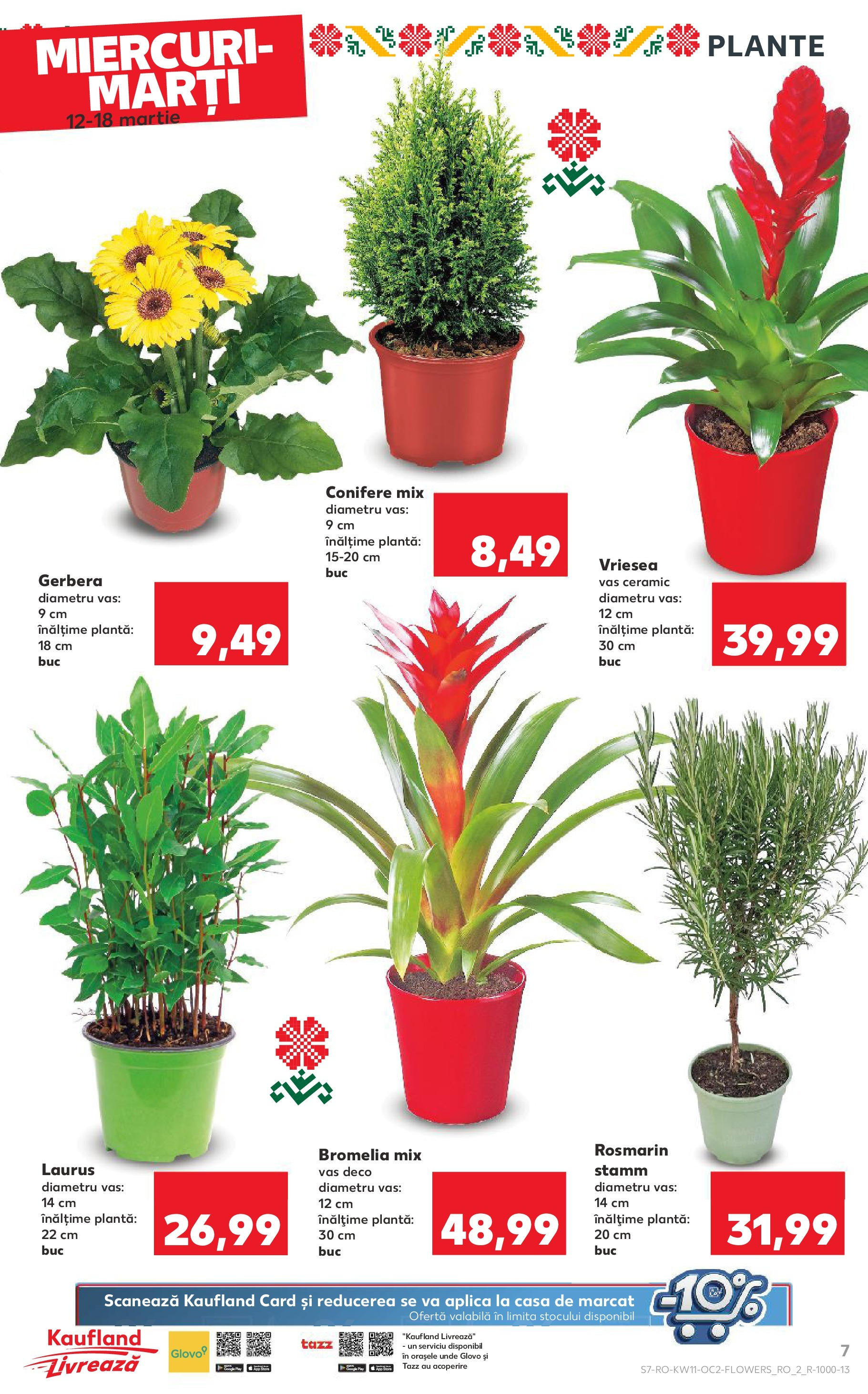 Catalog Kaufland 11 - 16 Martie 2025 | Pagina 7 | Produse: Bromelia