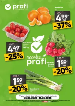 Catalog Profi