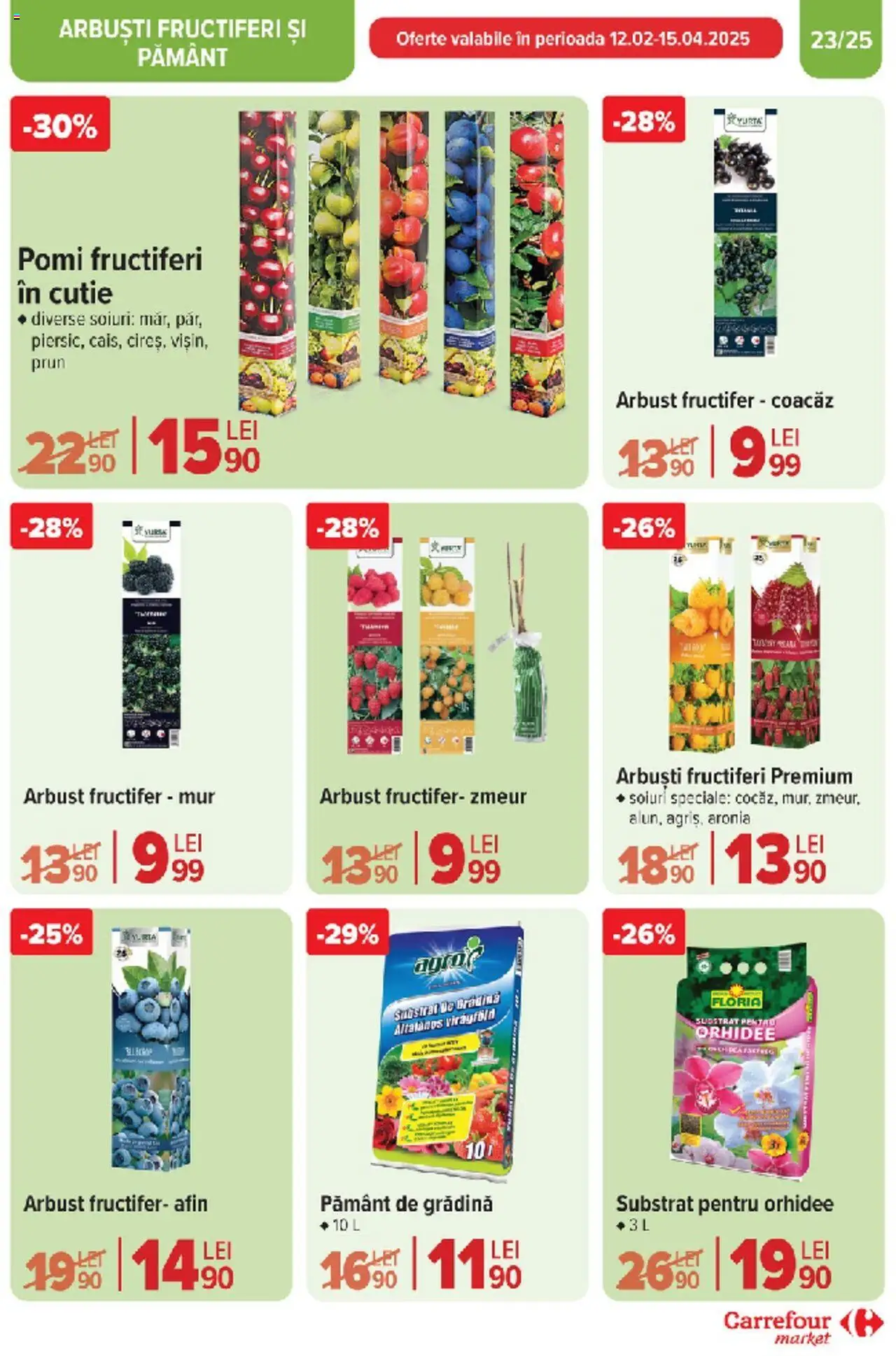 Catalog Carrefour 10 - 18 Martie 2025 | Pagina 22 | Produse: Orhidee, Cutie