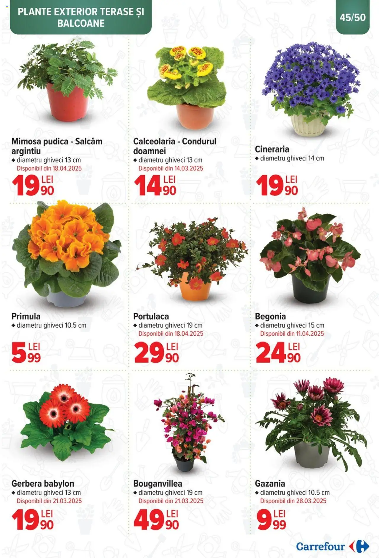 Catalog Carrefour 12 Martie - 6 Mai 2025 | Pagina 45 | Produse: Ghiveci