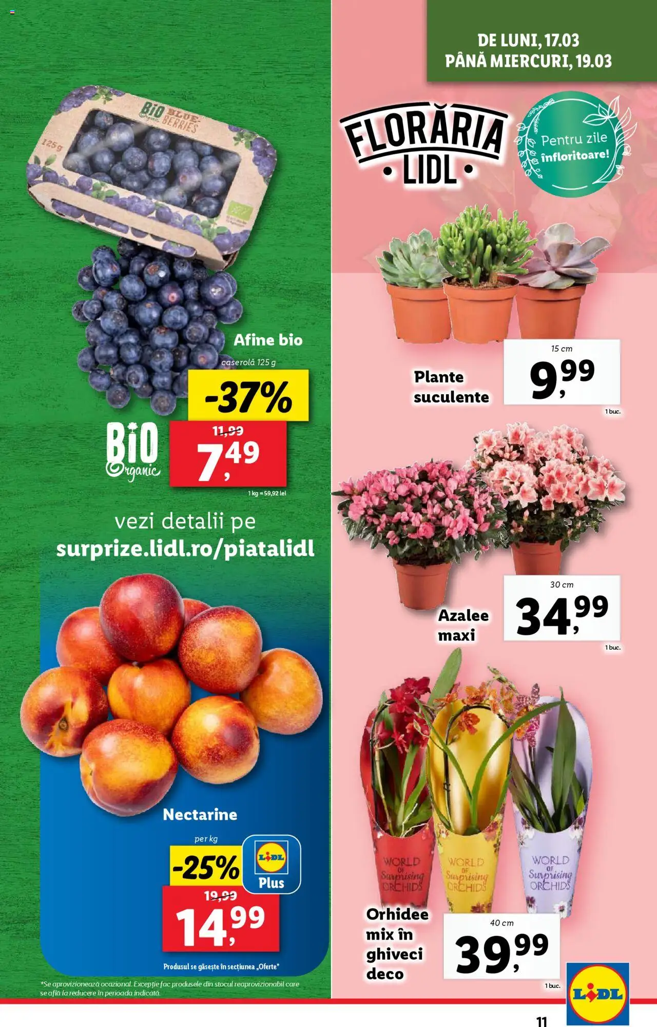 Catalog LIDL 17 - 23 Martie 2025 | Pagina 11 | Produse: Şerit ödül, Afine, Temizlik kovası, Orhidee
