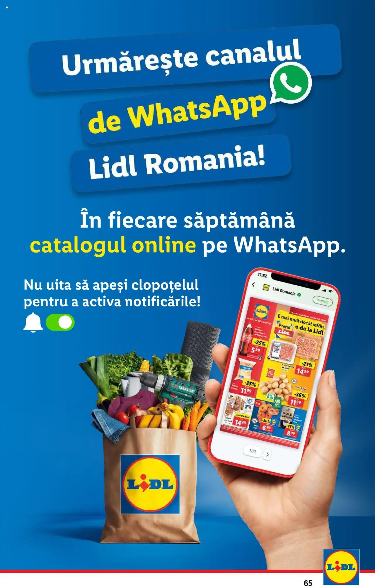 Catalog LIDL 17 - 23 Martie 2025 | Pagina 65 | Produse: Gouda