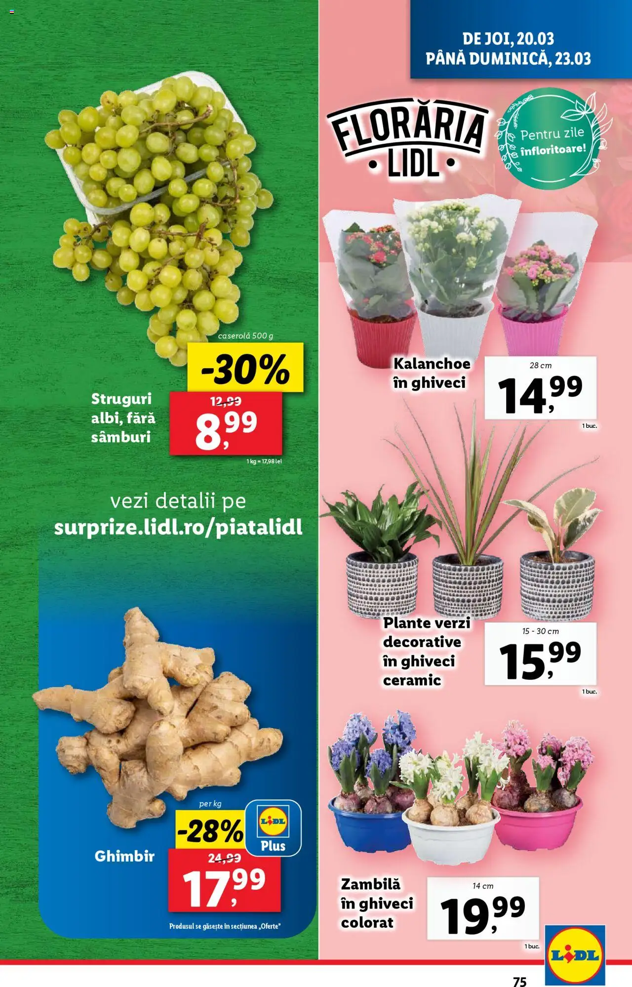 Catalog LIDL 17 - 23 Martie 2025 | Pagina 75 | Produse: Struguri, Ghiveci