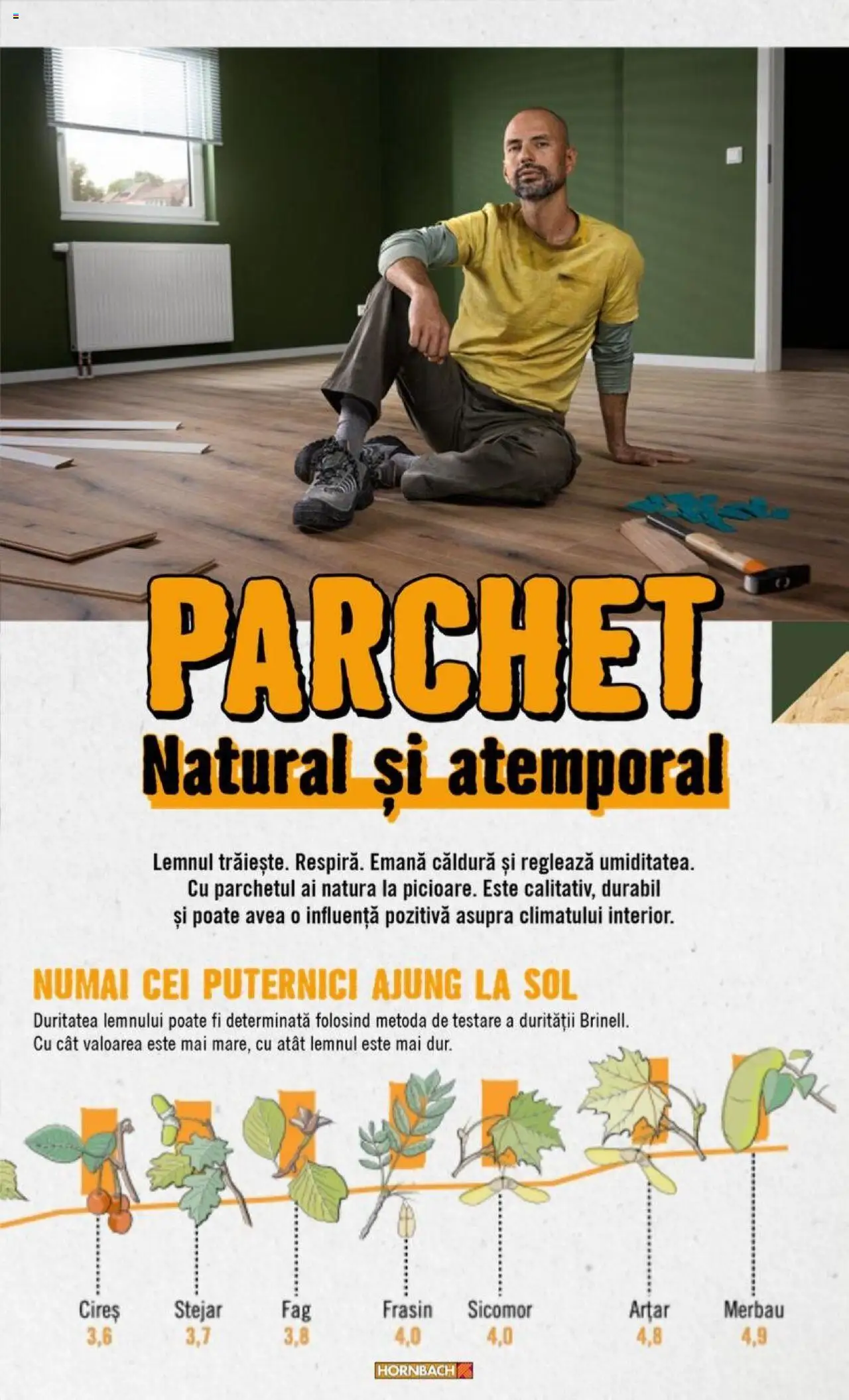 Catalog Hornbach 15 2024 - 31 Octombrie 2025 | Pagina 18 | Produse: Parchet