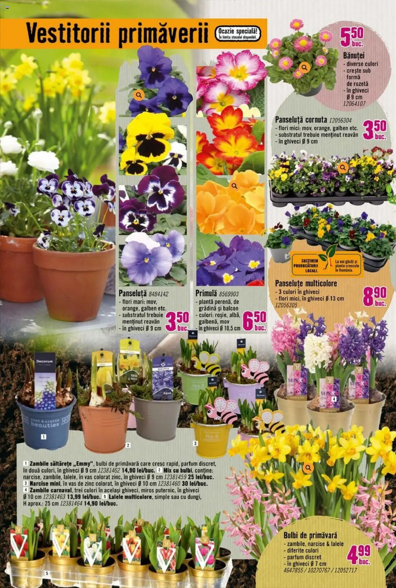 Catalog Hornbach 17 Martie - 25 Aprilie 2025 | Pagina 10 | Produse: Ghiveci, Mici, Parfum