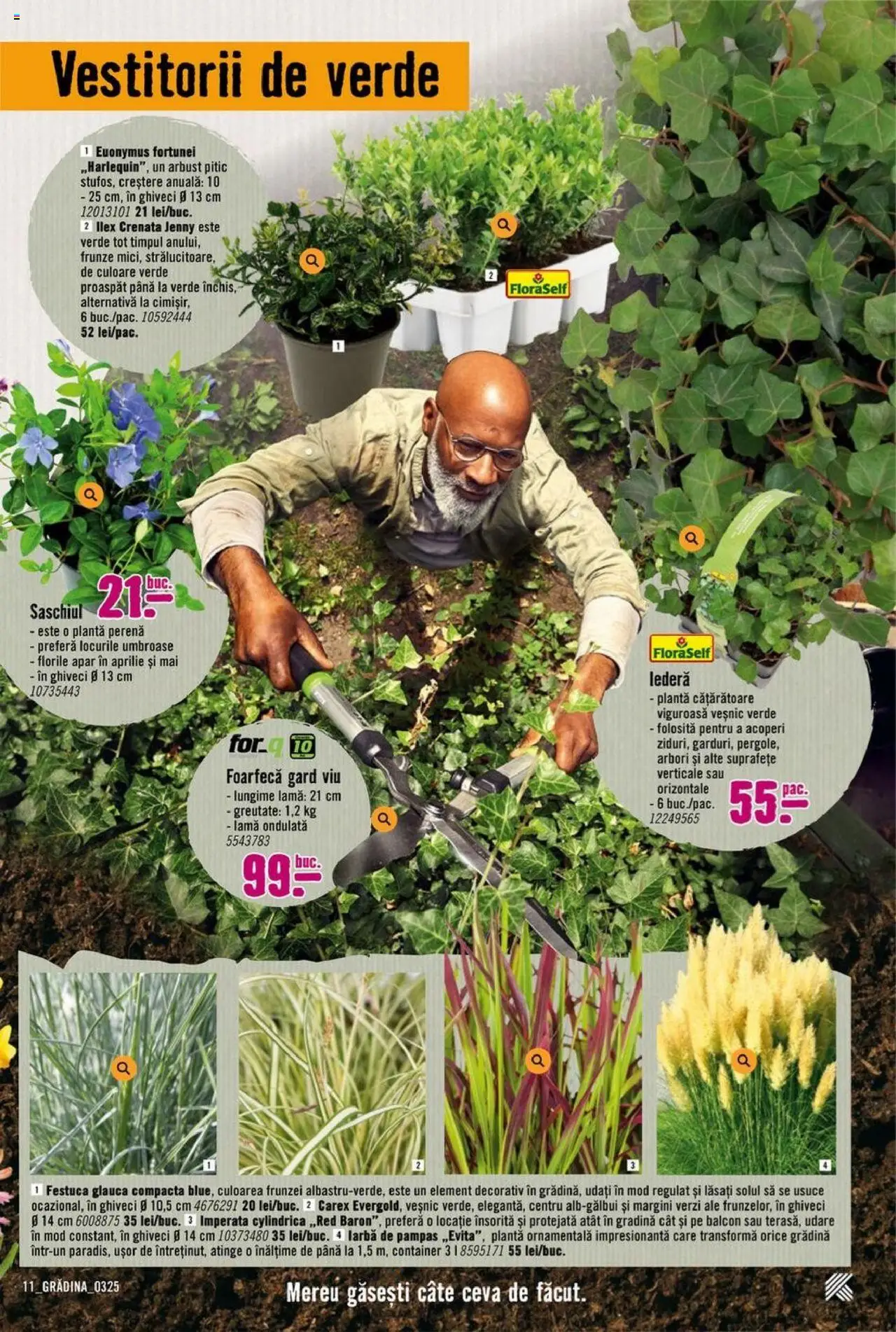 Catalog Hornbach 17 Martie - 25 Aprilie 2025 | Pagina 11 | Produse: Ghiveci