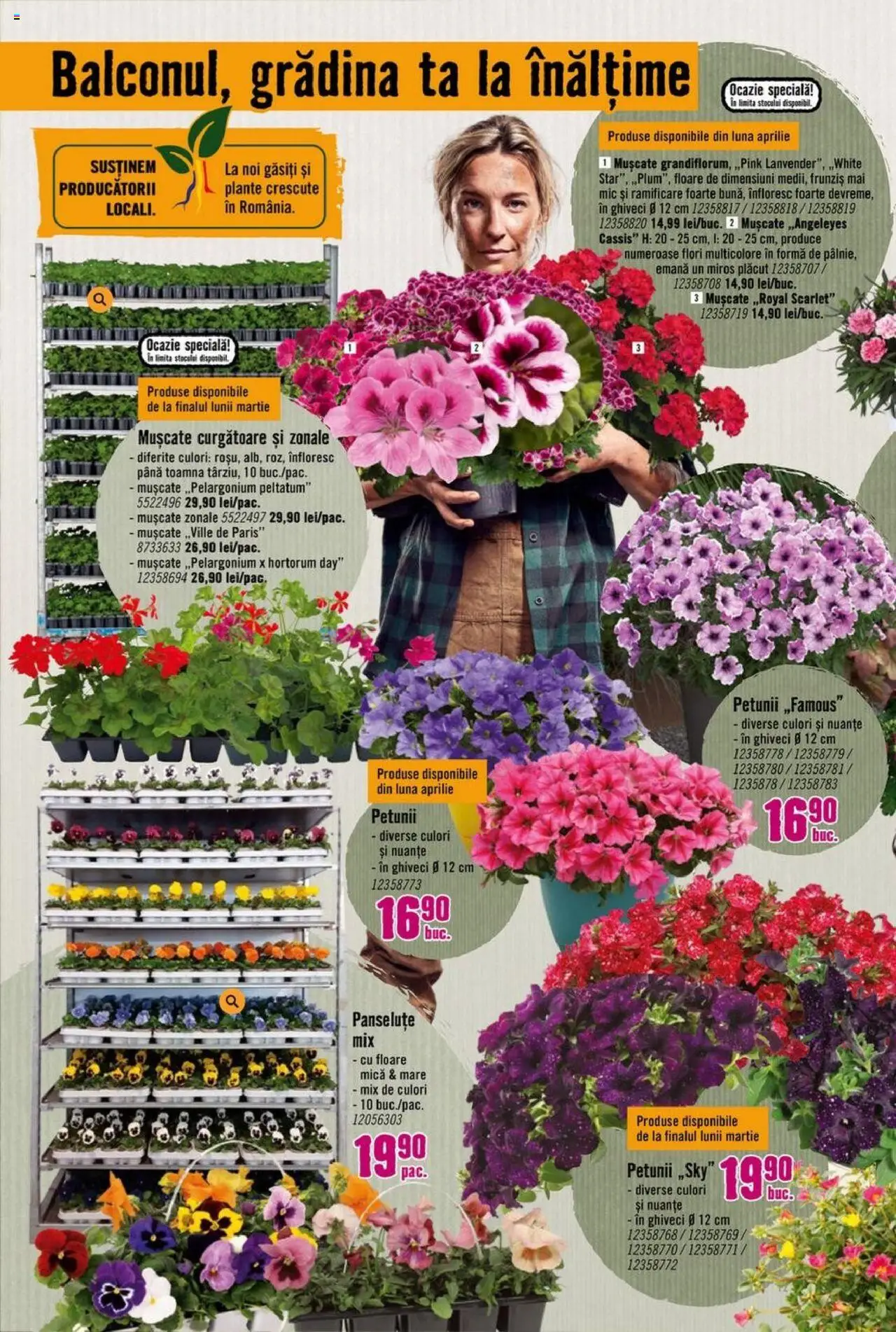Catalog Hornbach 17 Martie - 25 Aprilie 2025 | Pagina 12 | Produse: Ghiveci