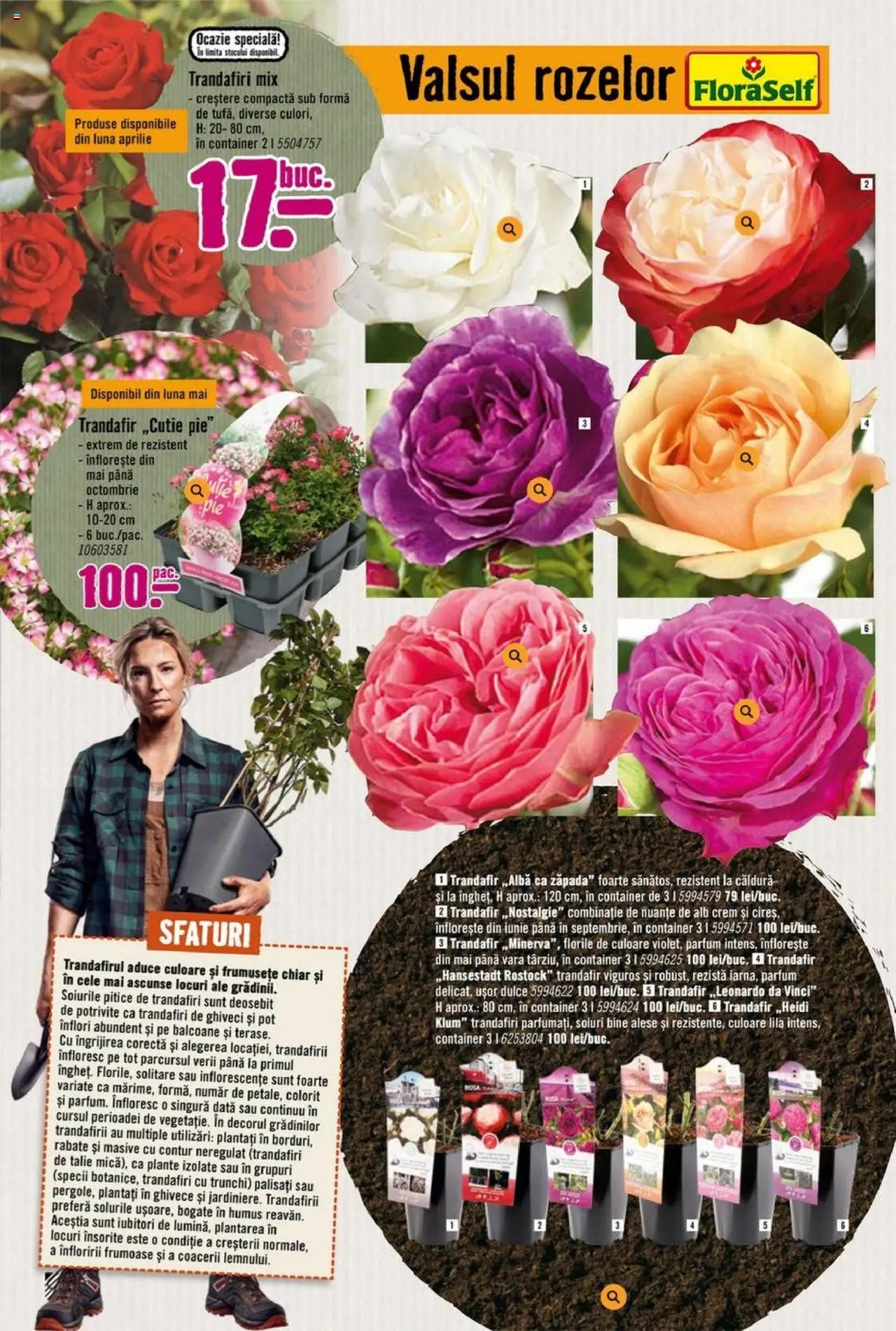 Catalog Hornbach 17 Martie - 25 Aprilie 2025 | Pagina 16 | Produse: Trandafir, Ghiveci, Parfum, Humus