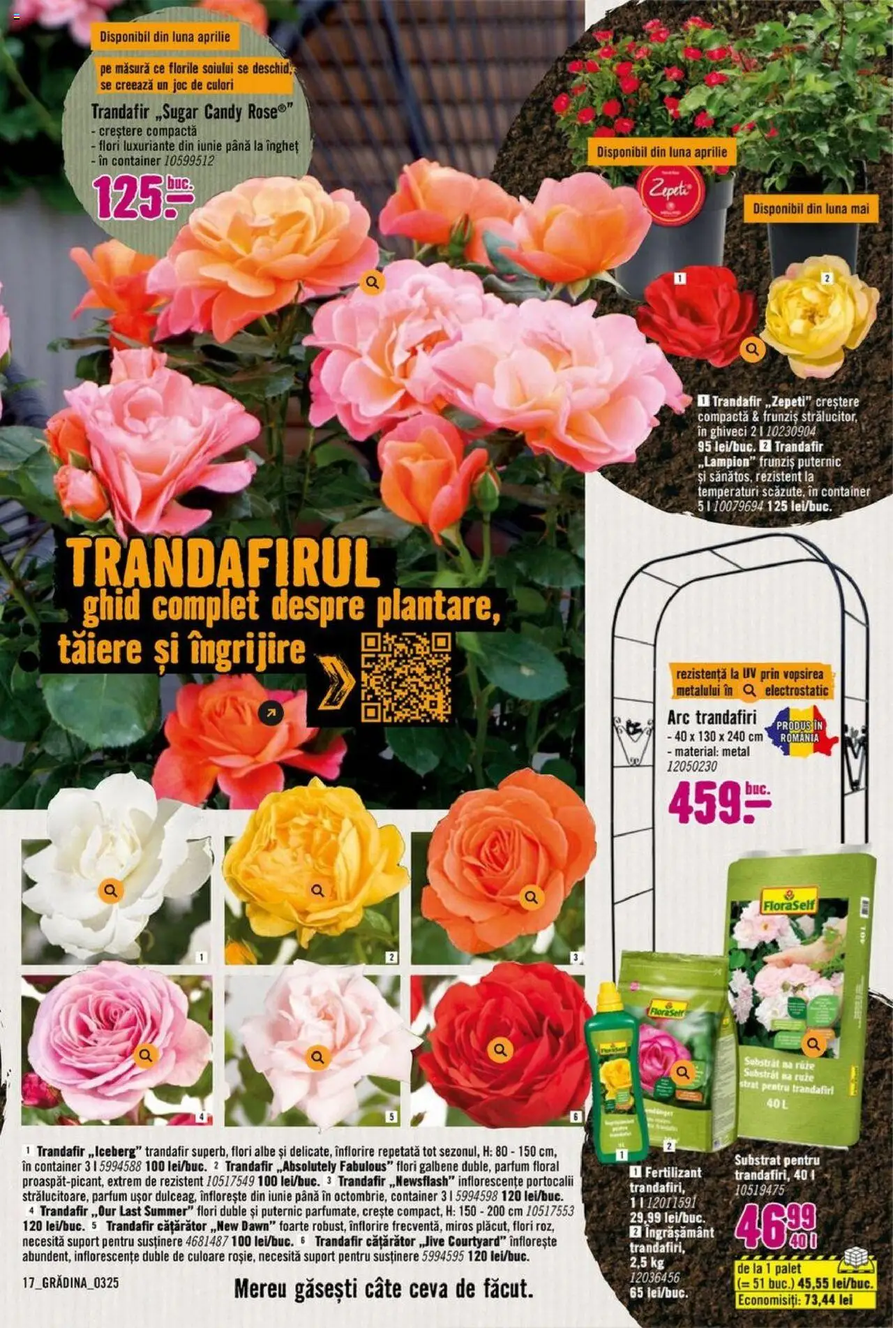 Catalog Hornbach 17 Martie - 25 Aprilie 2025 | Pagina 17 | Produse: Joc, Trandafir, Ghiveci, Parfum