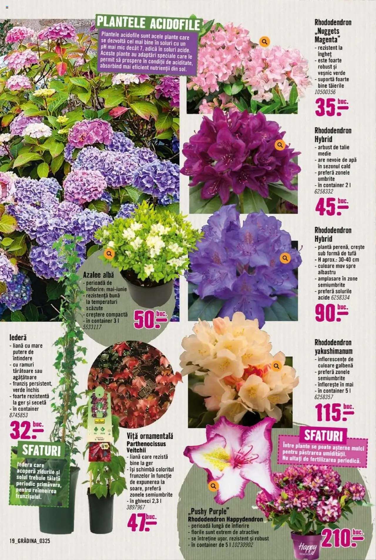 Catalog Hornbach 17 Martie - 25 Aprilie 2025 | Pagina 19 | Produse: Ghiveci, Apă