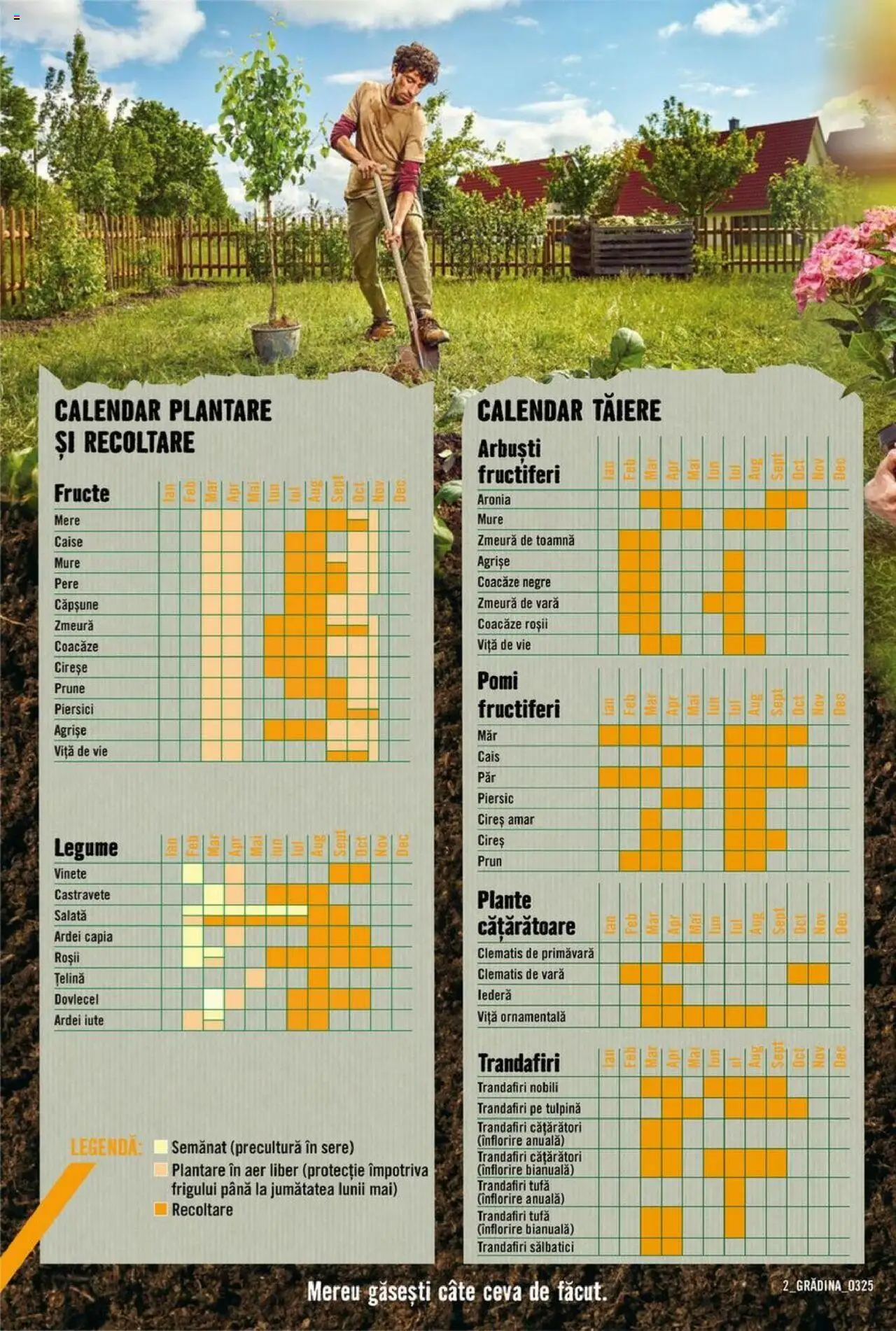 Catalog Hornbach 17 Martie - 25 Aprilie 2025 | Pagina 2 | Produse: Ardei, Roșii, Salată, Legume