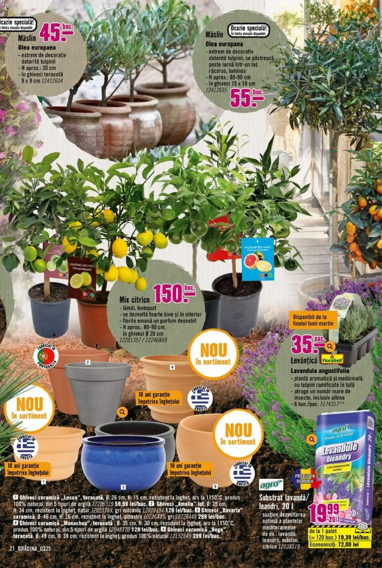 Catalog Hornbach 17 Martie - 25 Aprilie 2025 | Pagina 21 | Produse: Ghiveci, Parfum, Pește