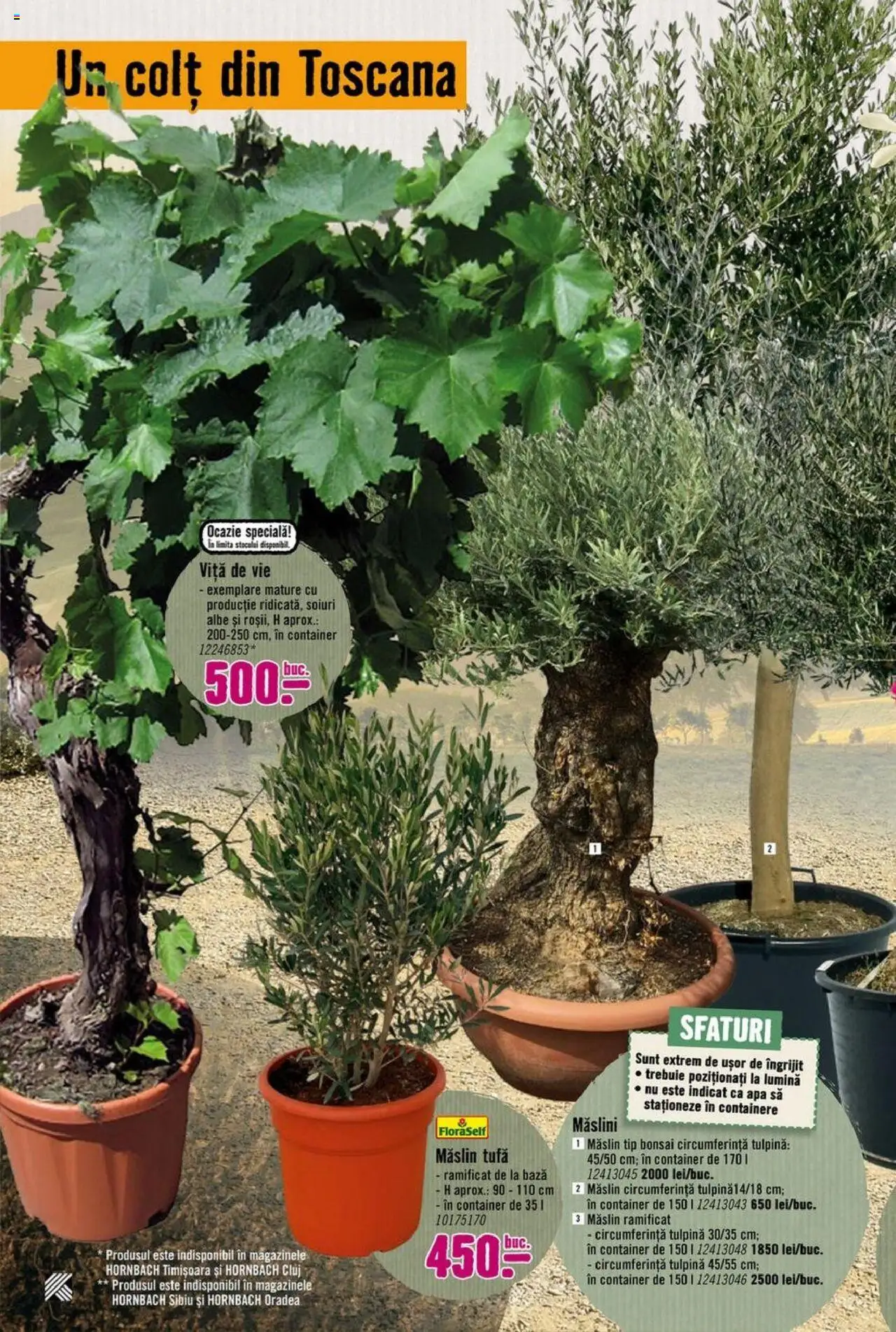 Catalog Hornbach 17 Martie - 25 Aprilie 2025 | Pagina 22 | Produse: Tavuk suyu, Apă