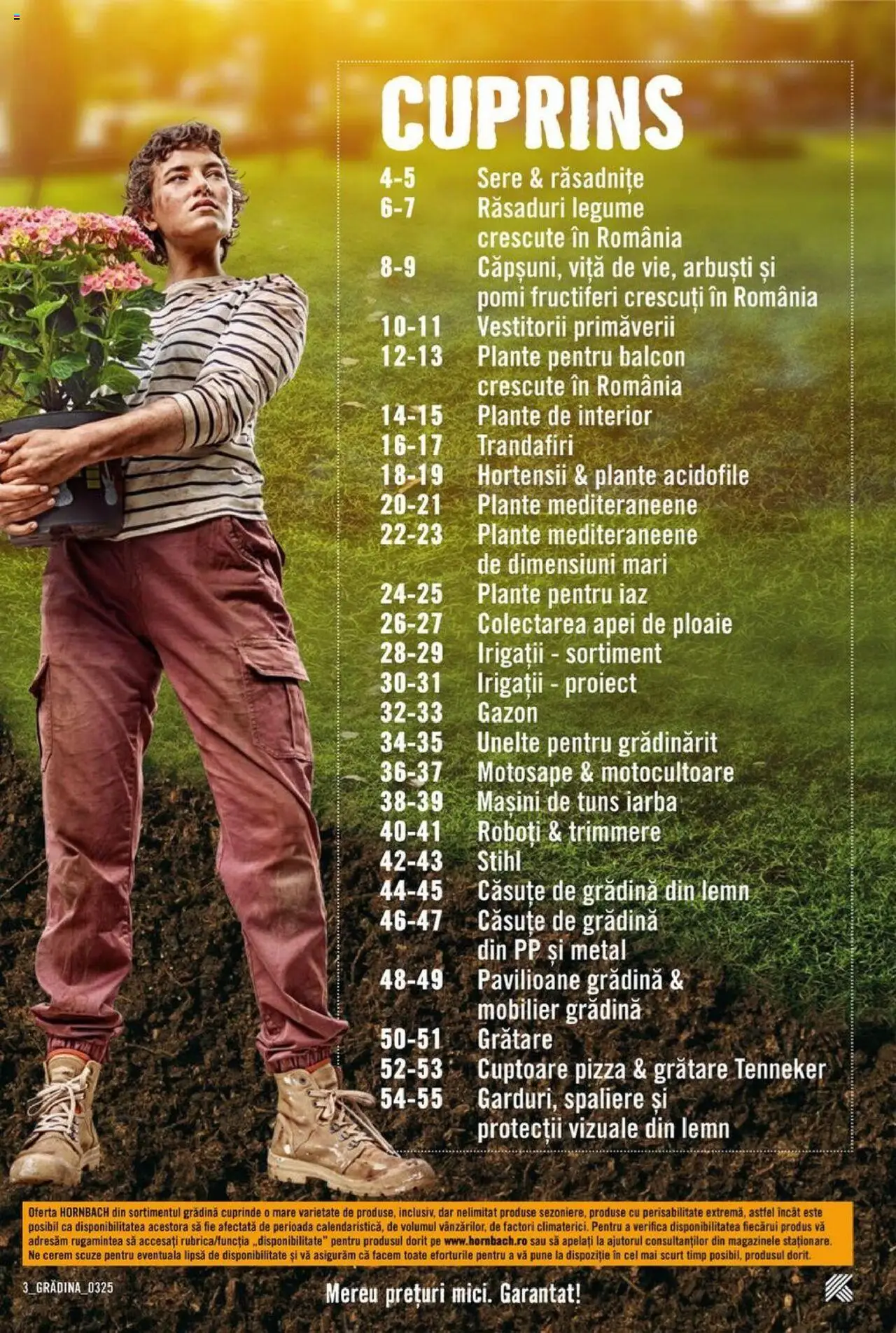 Catalog Hornbach 17 Martie - 25 Aprilie 2025 | Pagina 3 | Produse: Pizza, Legume