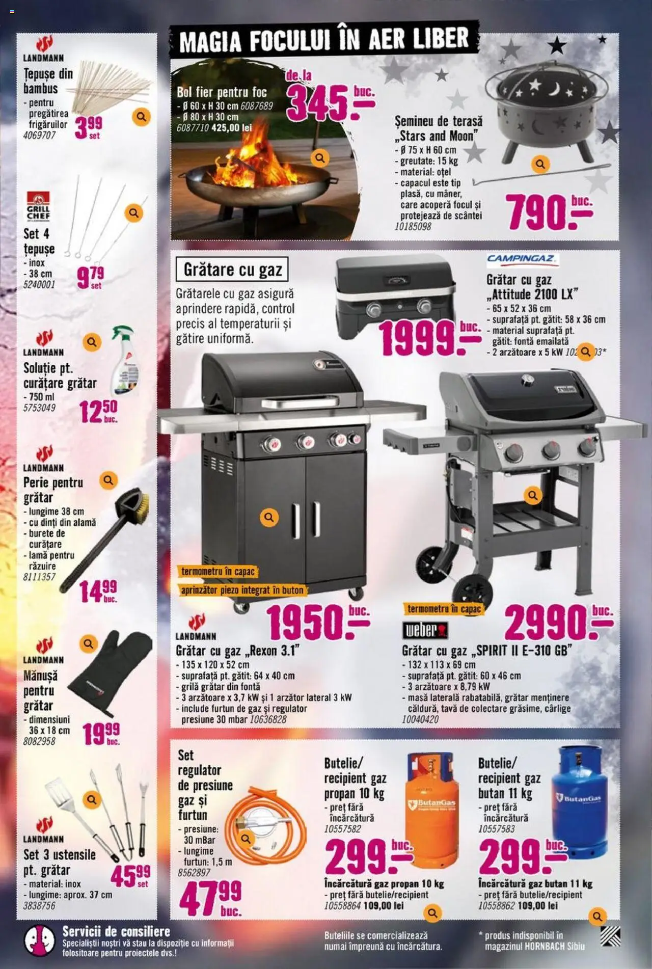 Catalog Hornbach 17 Martie - 25 Aprilie 2025 | Pagina 51 | Produse: Termometru, Șemineu, Masă, Perie