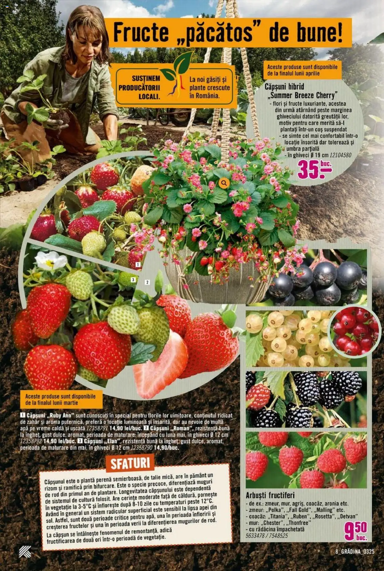 Catalog Hornbach 17 Martie - 25 Aprilie 2025 | Pagina 8 | Produse: Ghiveci, Căpșuni, Apă, Fructe