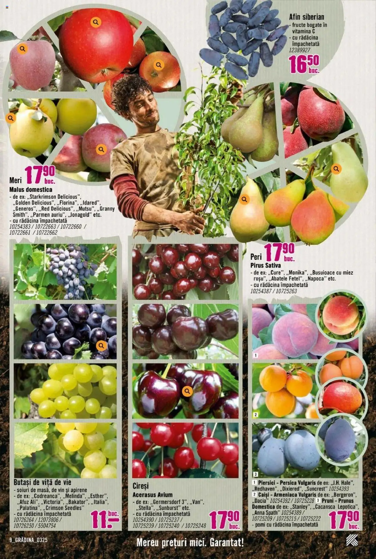 Catalog Hornbach 17 Martie - 25 Aprilie 2025 | Pagina 9 | Produse: Vin, Fructe