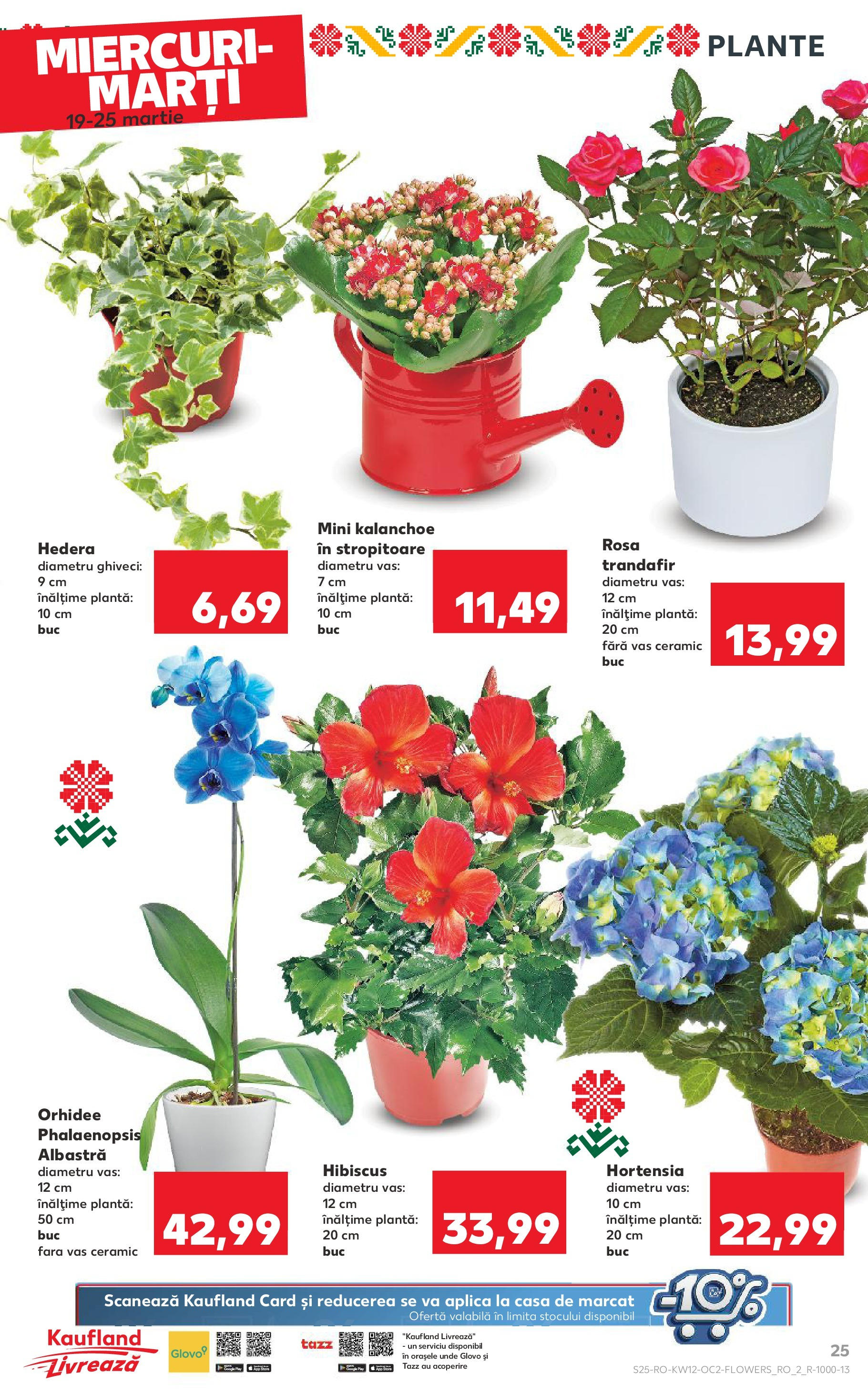 Catalog Kaufland 19 - 25 Martie 2025 | Pagina 25 | Produse: Trandafir, Orhidee, Ghiveci
