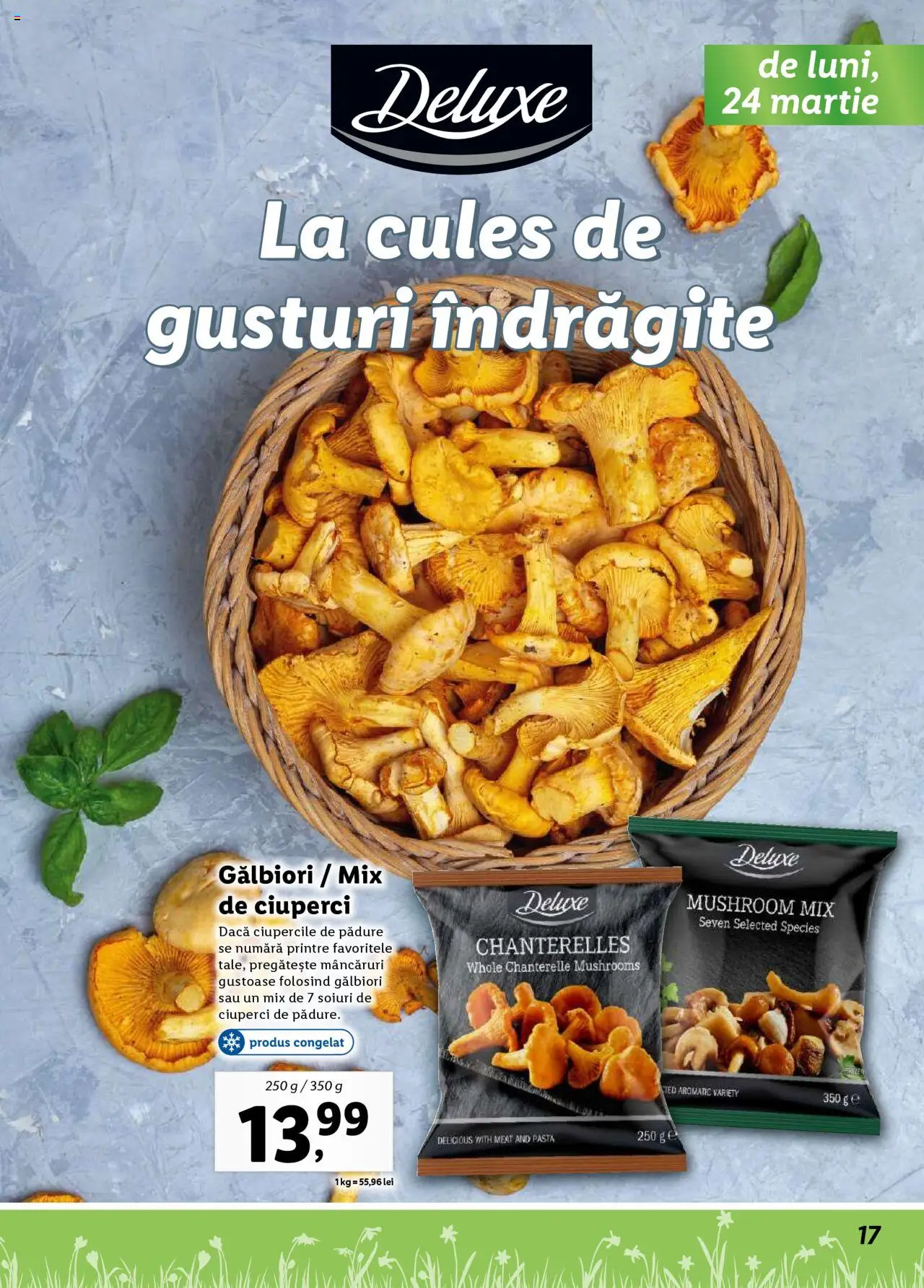 Catalog LIDL 24 Martie - 20 Aprilie 2025 | Pagina 17 | Produse: Ciuperci