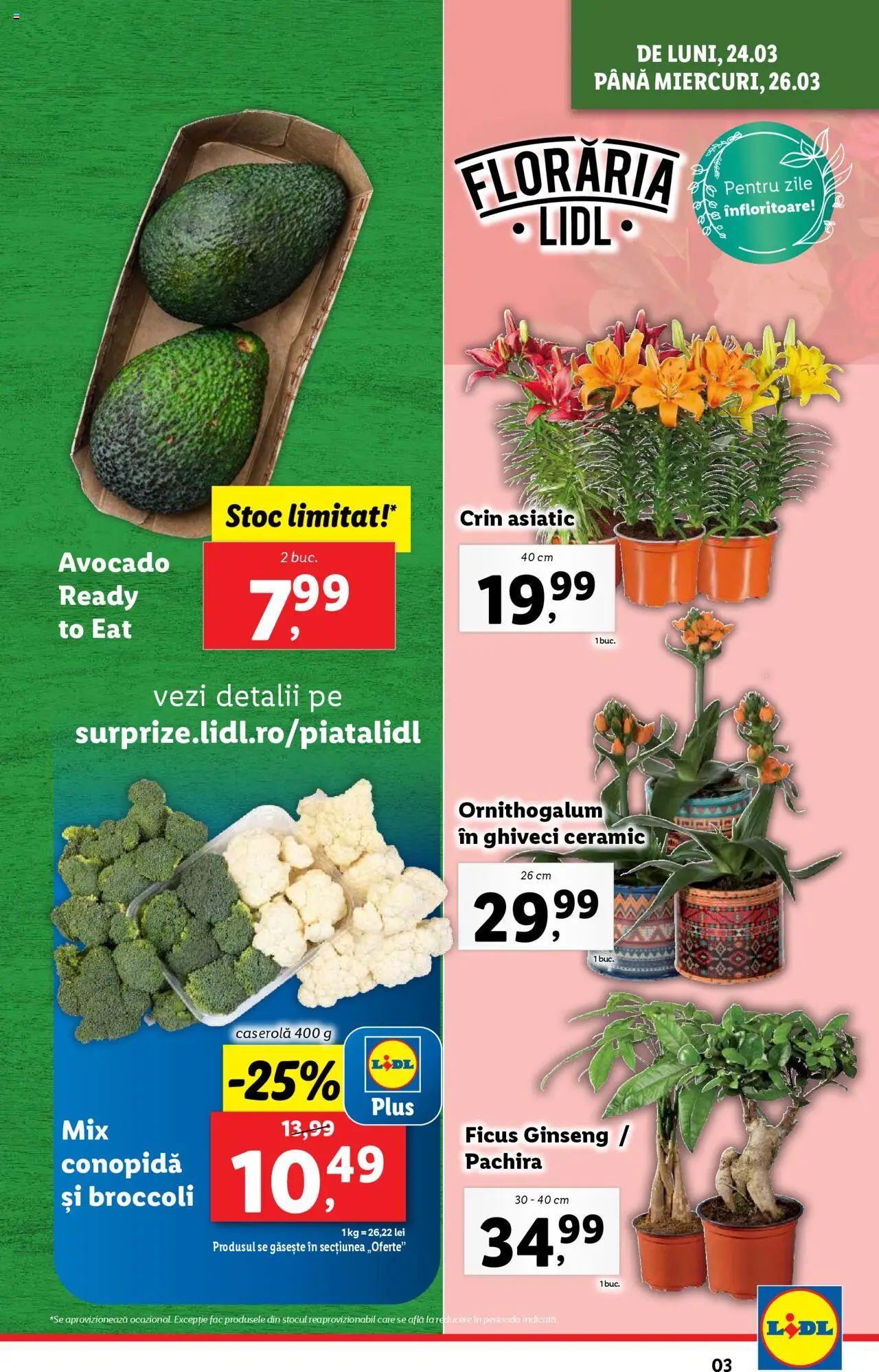 Catalog LIDL 24 - 30 Martie 2025 | Pagina 3 | Produse: Conopidă, Ghiveci, Avocado