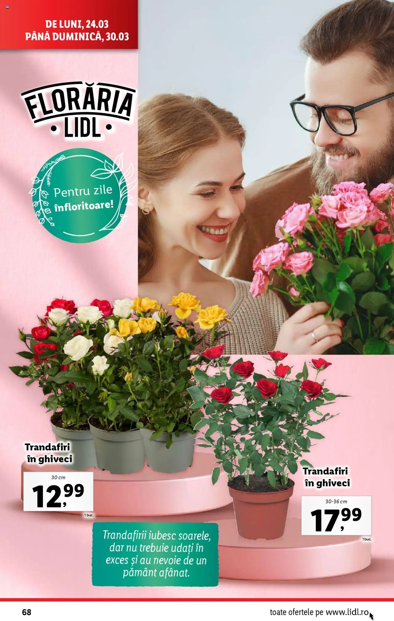 Catalog LIDL 24 - 30 Martie 2025 | Pagina 68 | Produse: Ghiveci