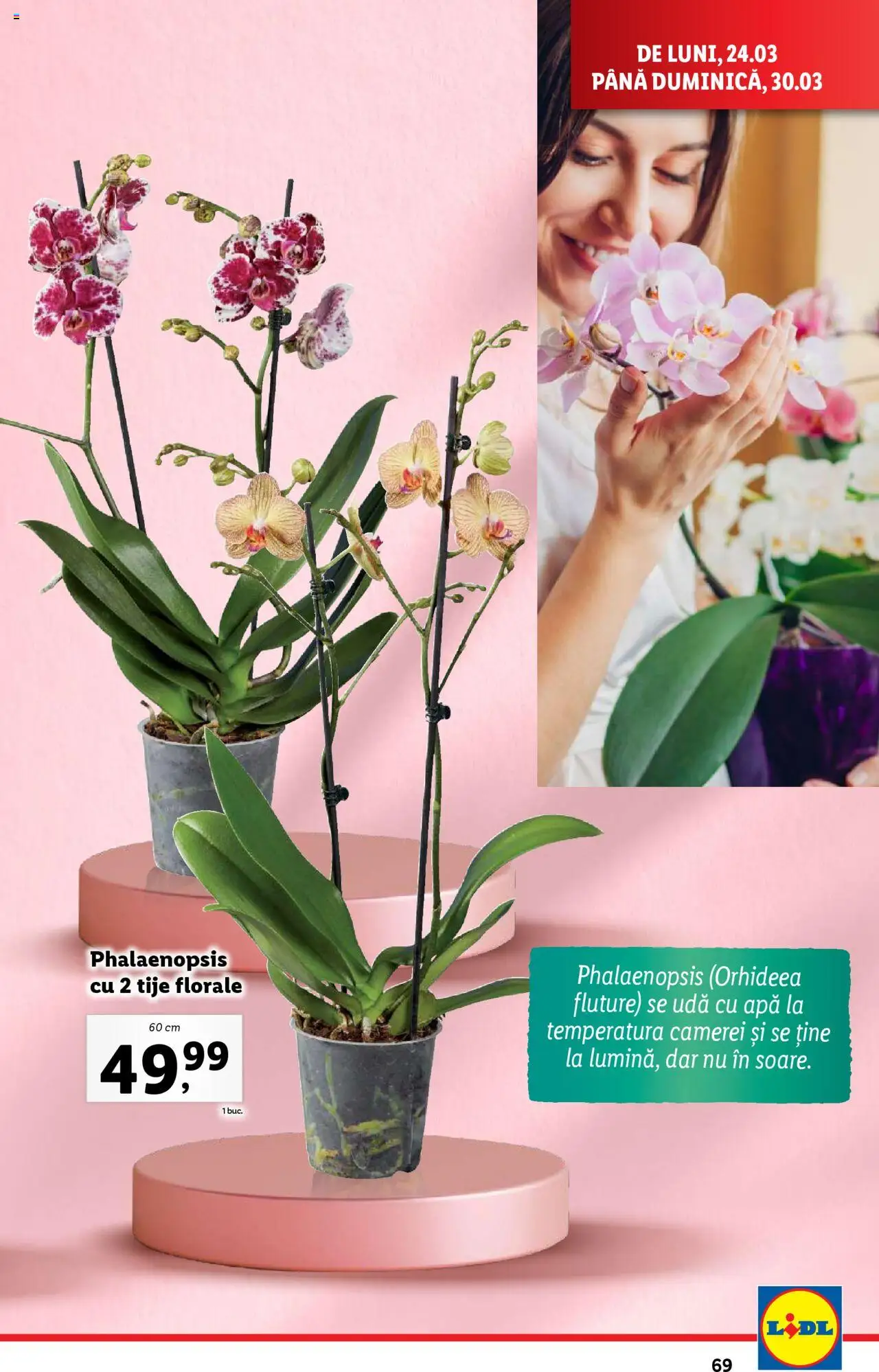Catalog LIDL 24 - 30 Martie 2025 | Pagina 69 | Produse: Apă