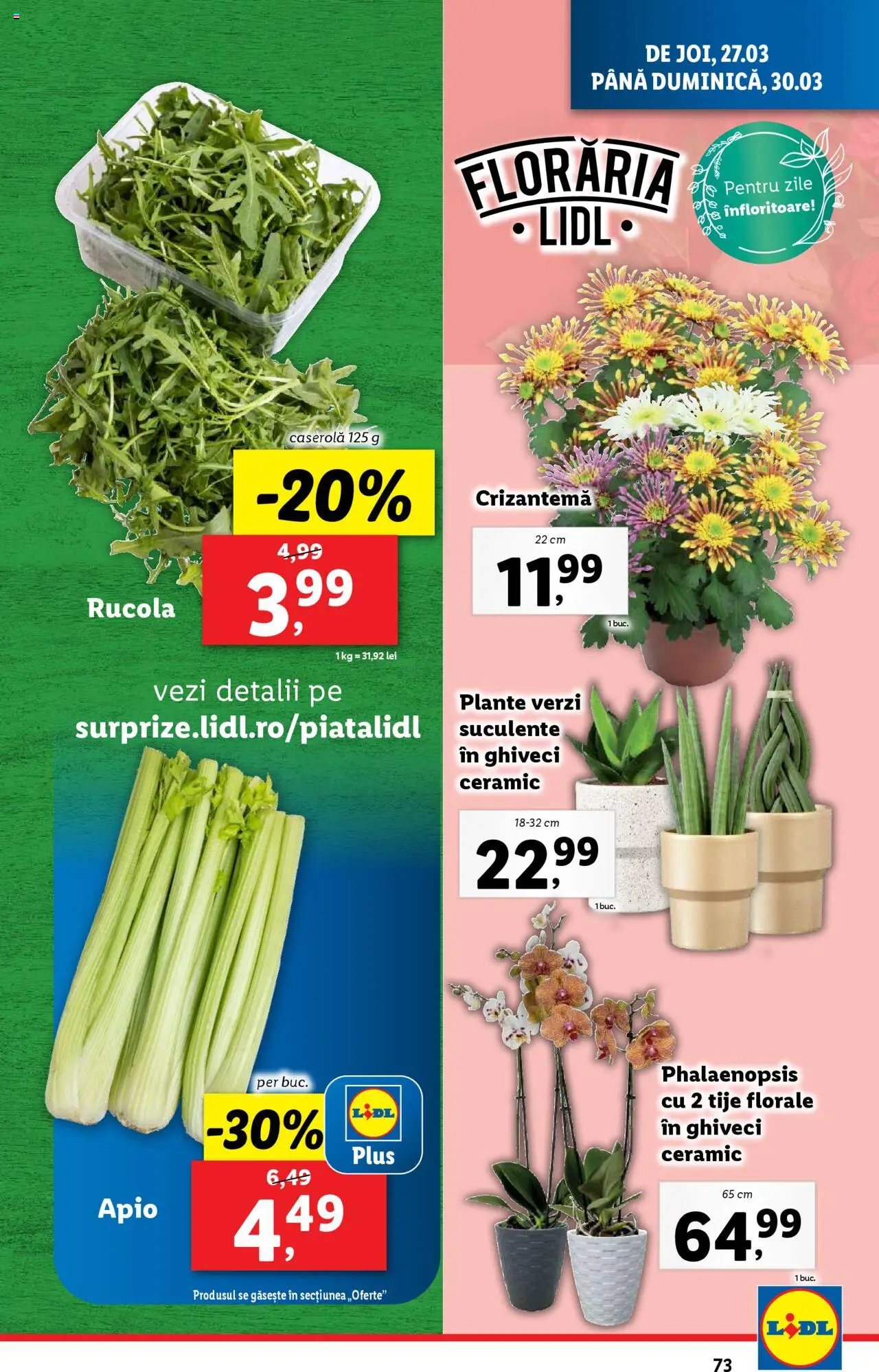Catalog LIDL 24 - 30 Martie 2025 | Pagina 73 | Produse: Ghiveci