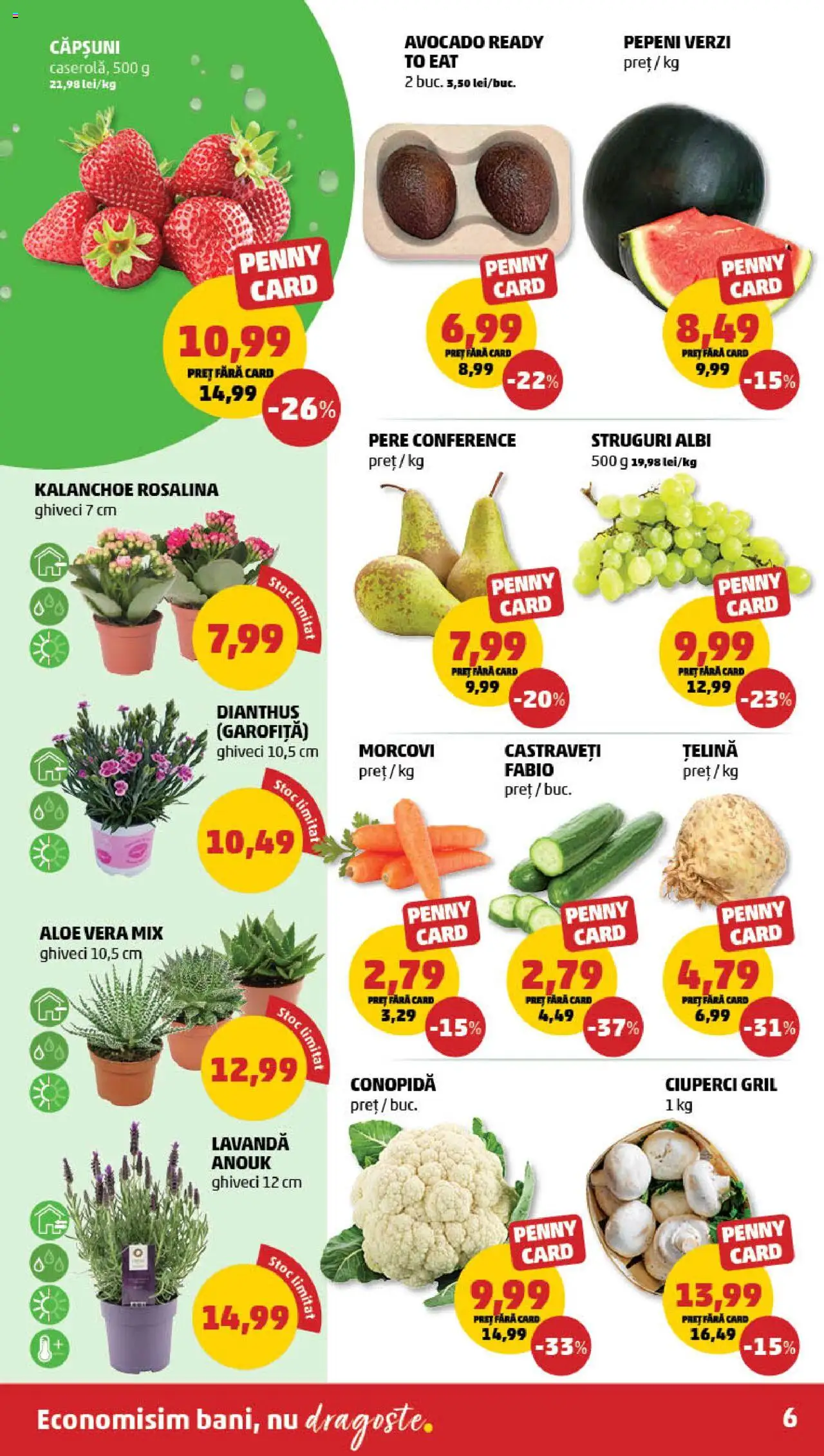 Catalog PENNY Market 19 - 25 Martie 2025 | Pagina 6 | Produse: Struguri, Conopidă, Ciuperci, Căpșuni