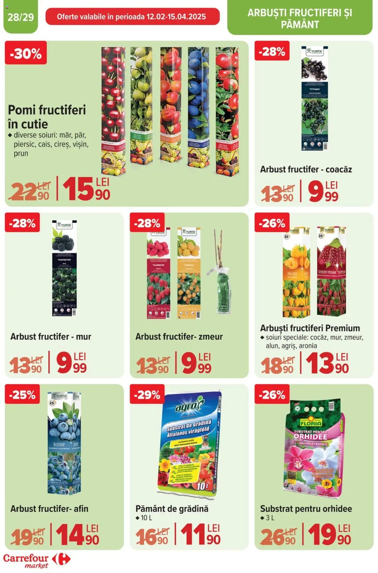 Catalog Carrefour 19 - 25 Martie 2025 | Pagina 28 | Produse: Orhidee, Cutie