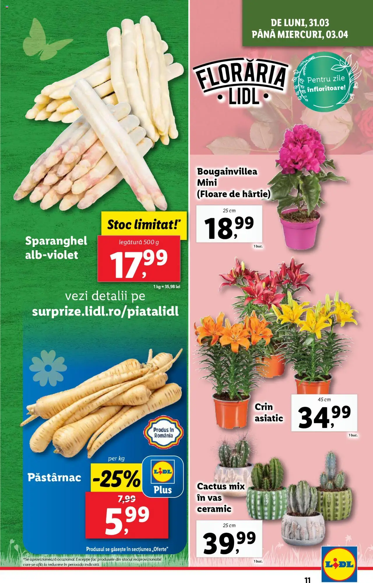 Catalog LIDL 31 Martie - 6 Aprilie 2025 | Pagina 11 | Produse: Press Kemik