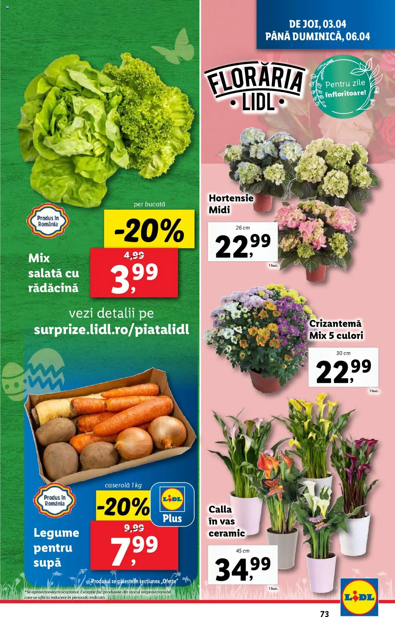 Catalog LIDL 31 Martie - 6 Aprilie 2025 | Pagina 73 | Produse: Salată, Legume
