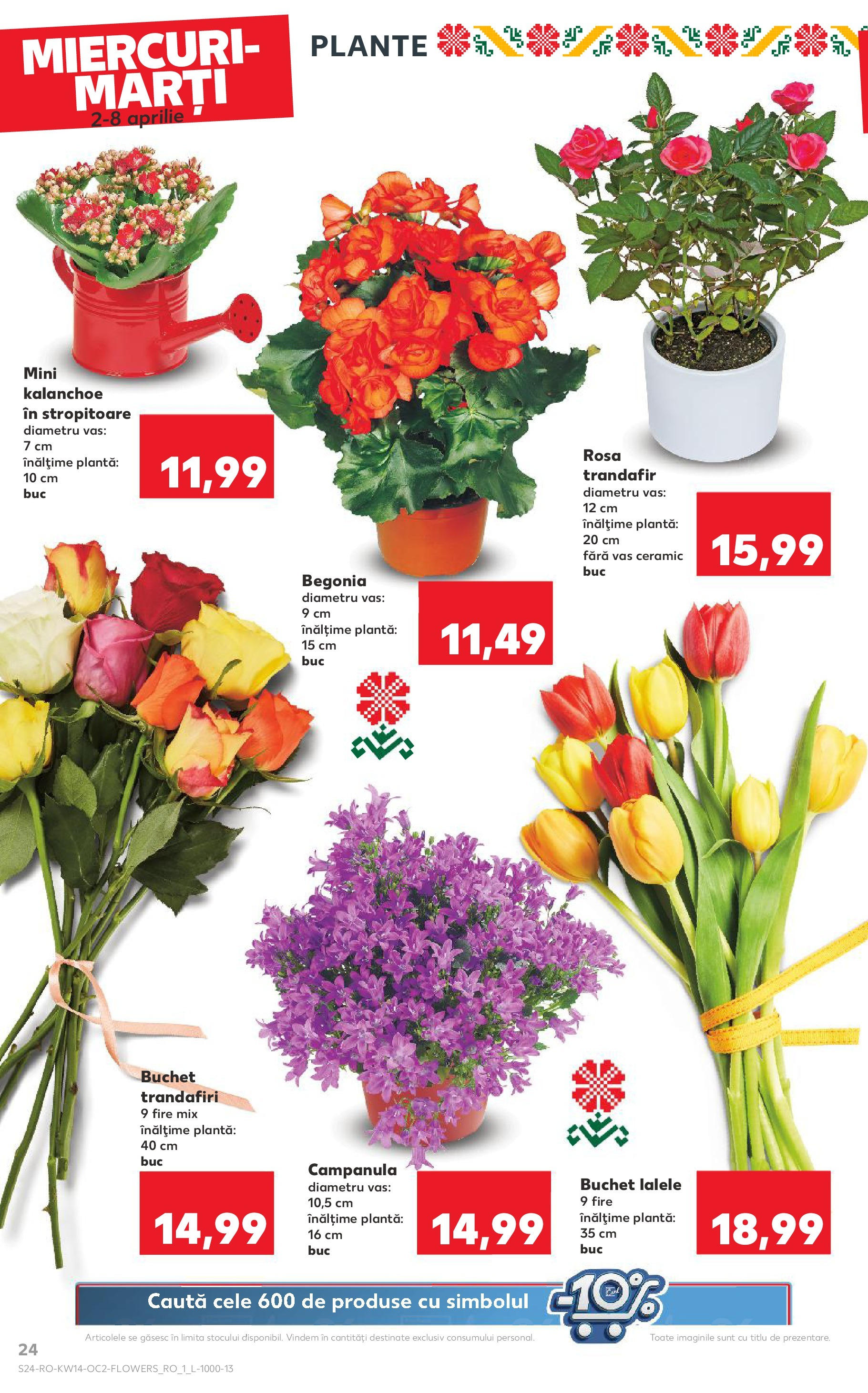 Catalog Kaufland 2 - 8 Aprilie 2025 | Pagina 24 | Produse: Trandafir