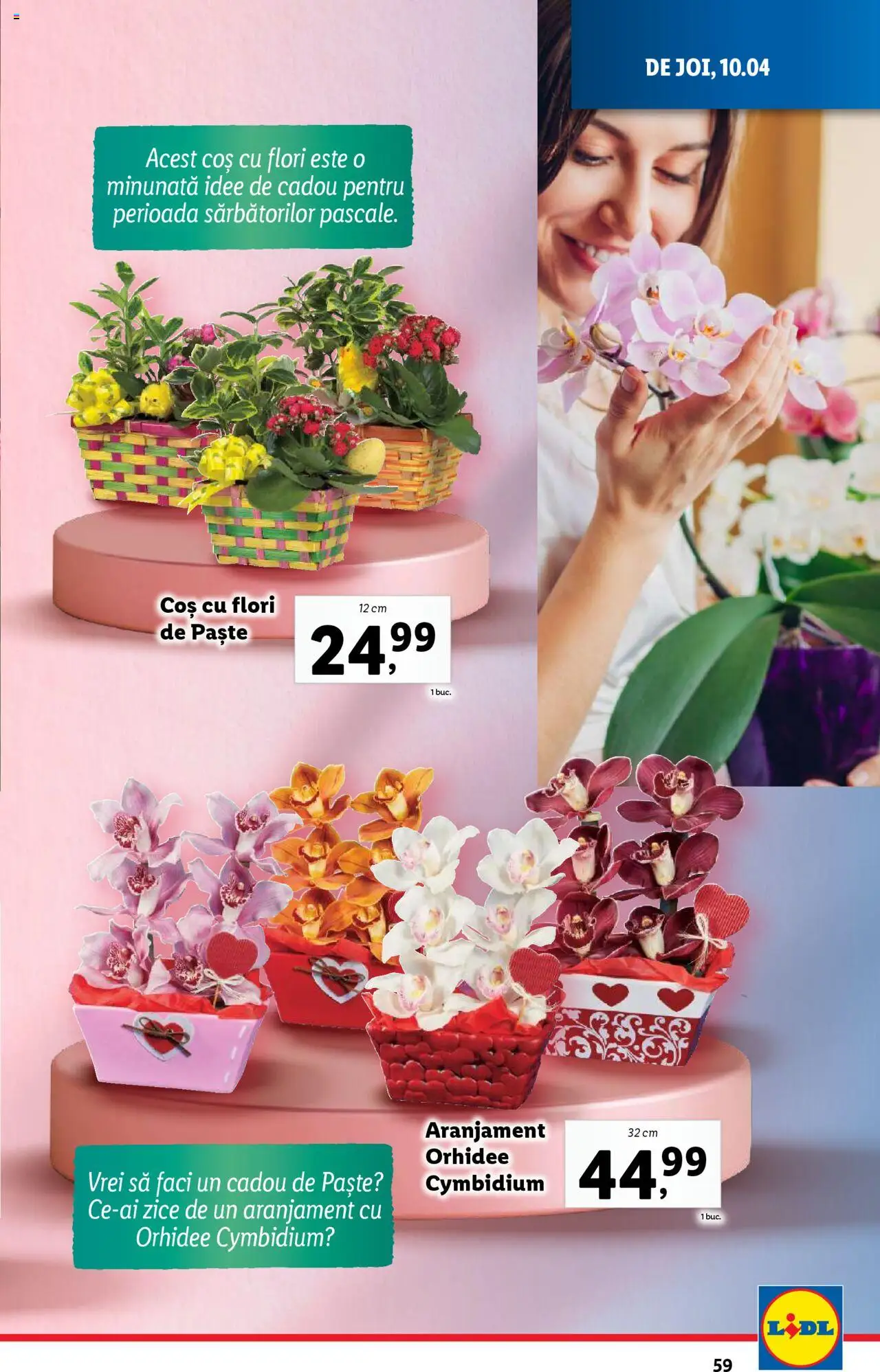 Catalog LIDL 7 - 13 Aprilie 2025 | Pagina 59 | Produse: Orhidee, Coș, Ceai, Paste
