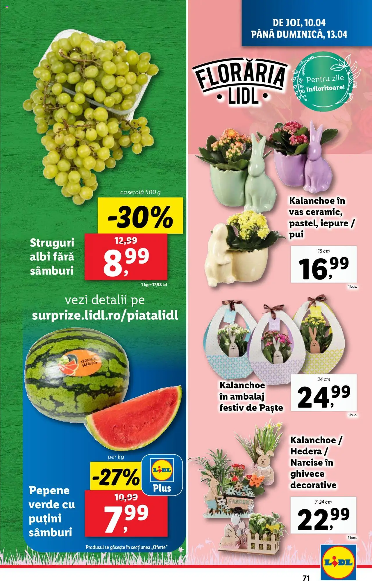 Catalog LIDL 7 - 13 Aprilie 2025 | Pagina 71 | Produse: Struguri, Paste