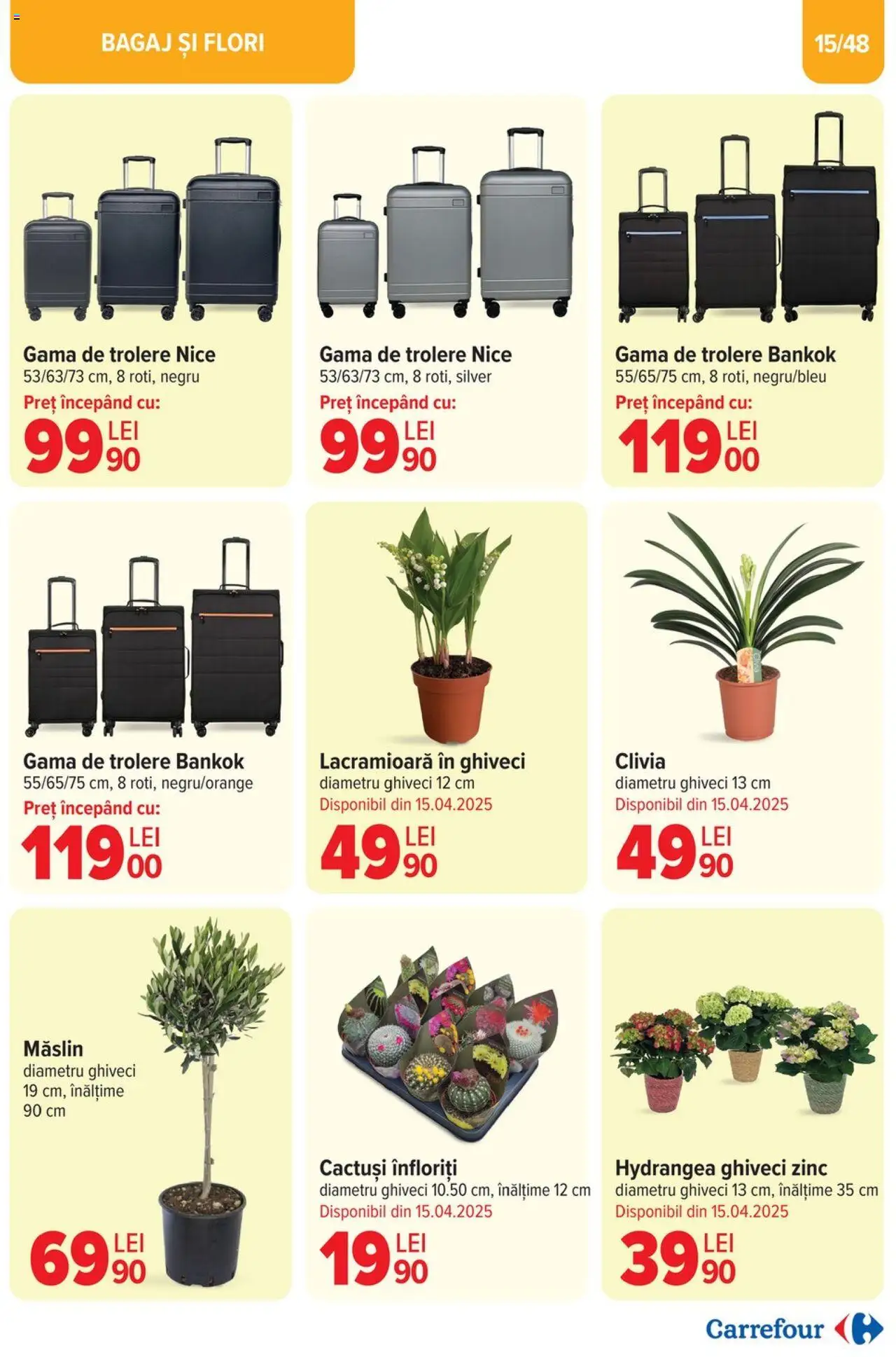 Catalog Carrefour 2 - 22 Aprilie 2025 | Pagina 15 | Produse: Ghiveci
