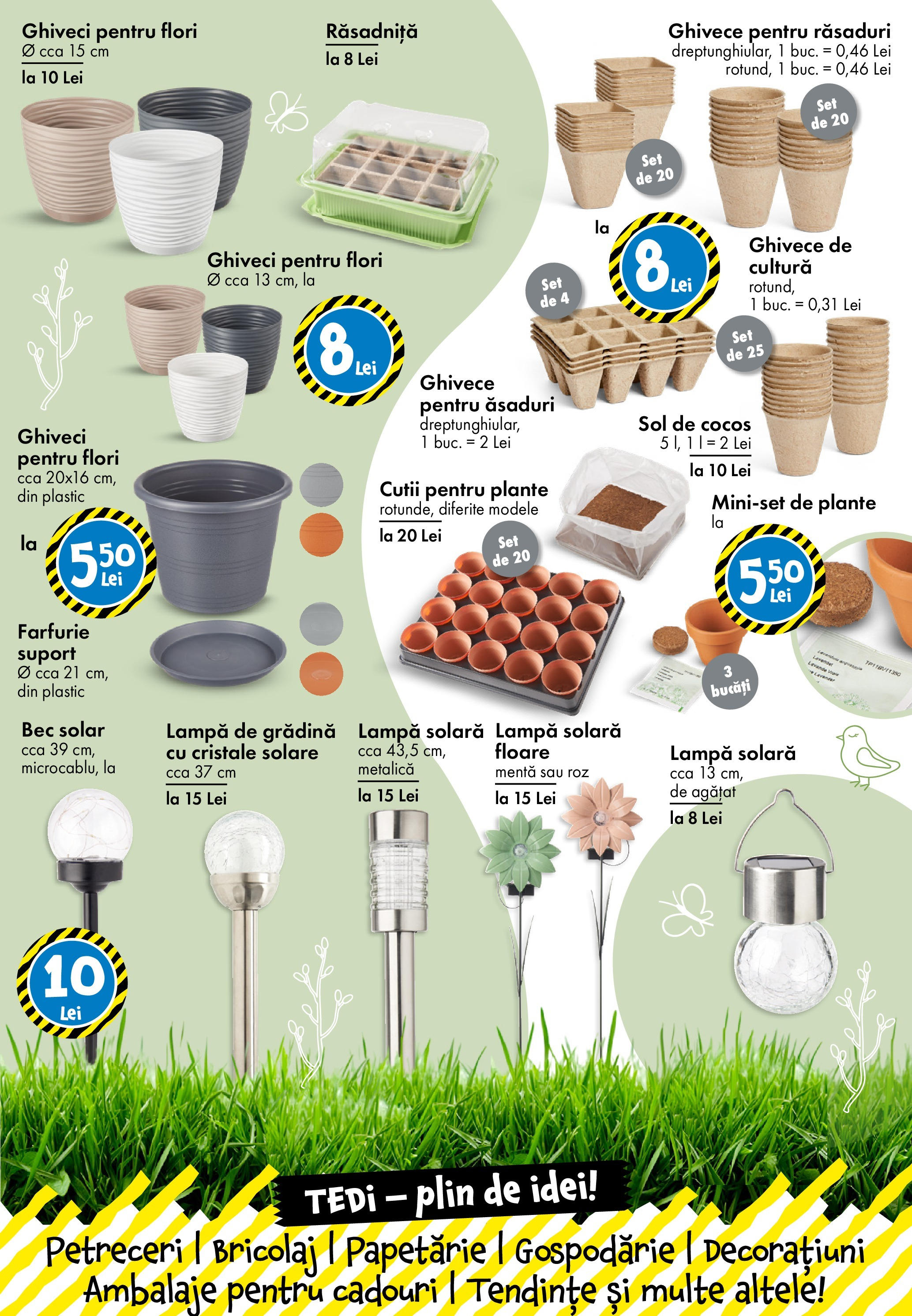 Catalog TEDi 4 - 12 Aprilie 2025 | Pagina 19 | Produse: Bec, Ghiveci, Lampă, Farfurie